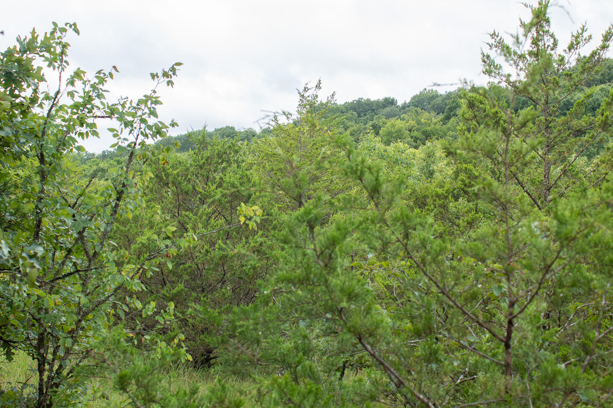 000 Highway 5 Property Photo 39