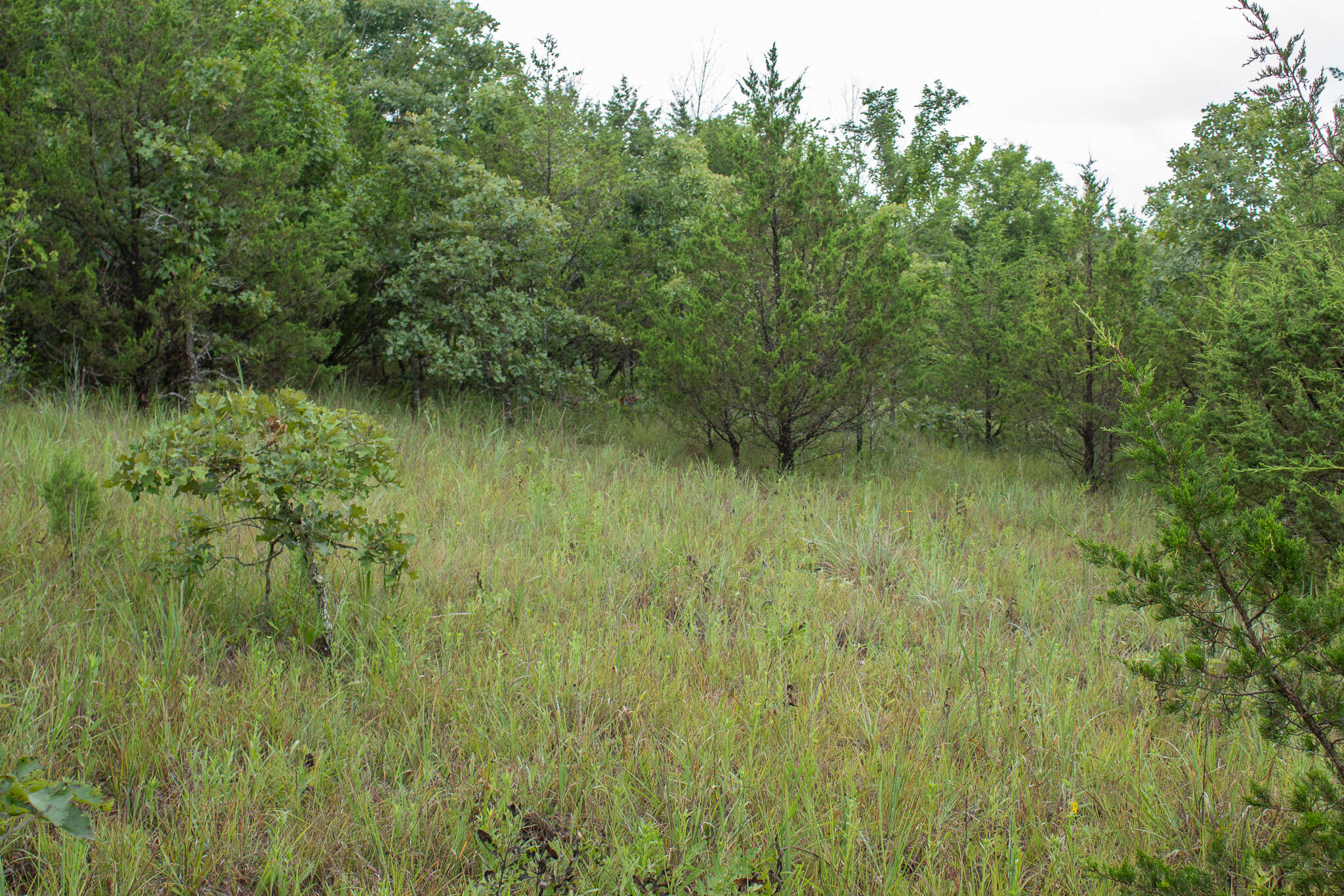 000 Highway 5 Property Photo 40