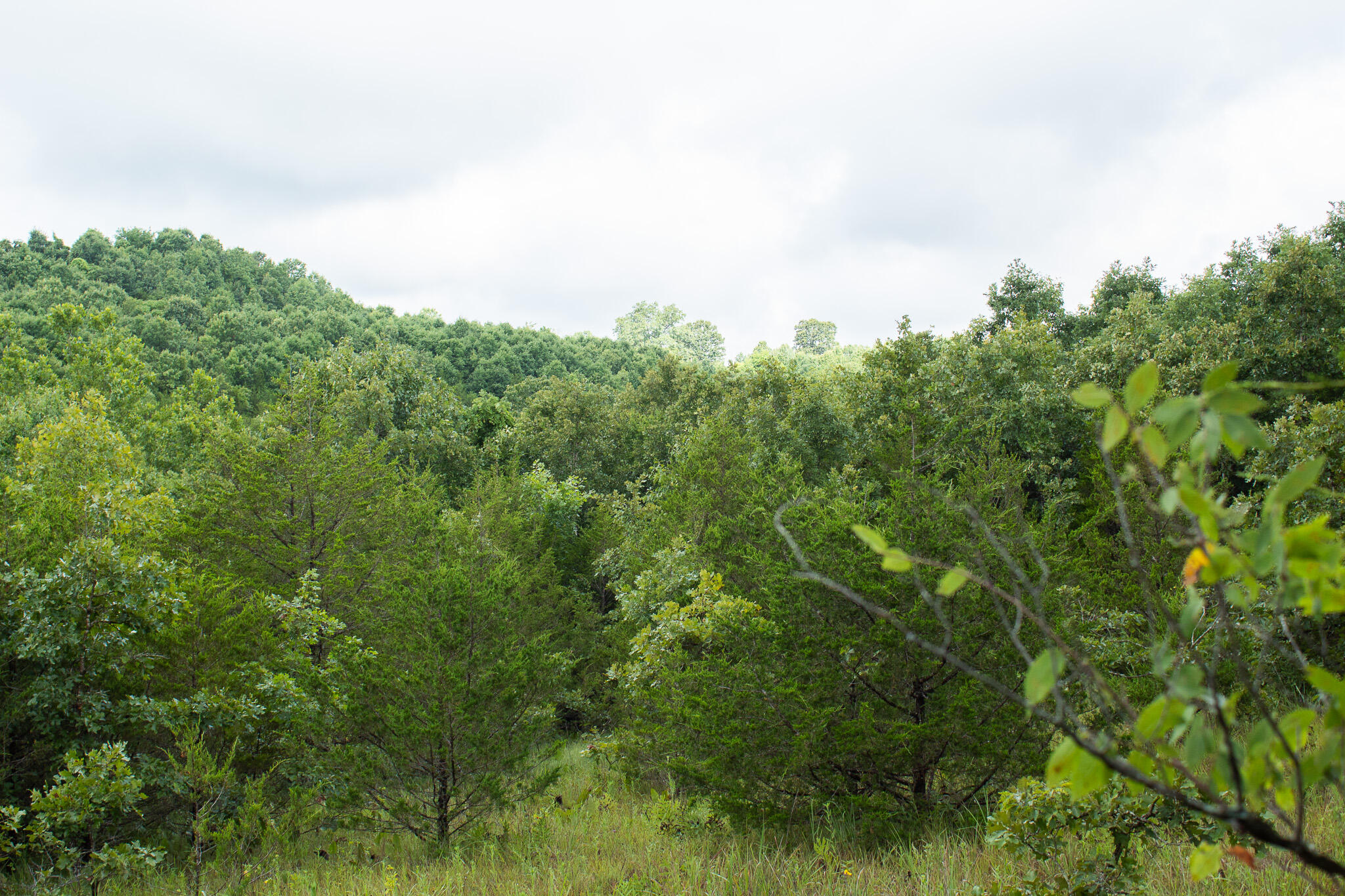 000 Highway 5 Property Photo 42