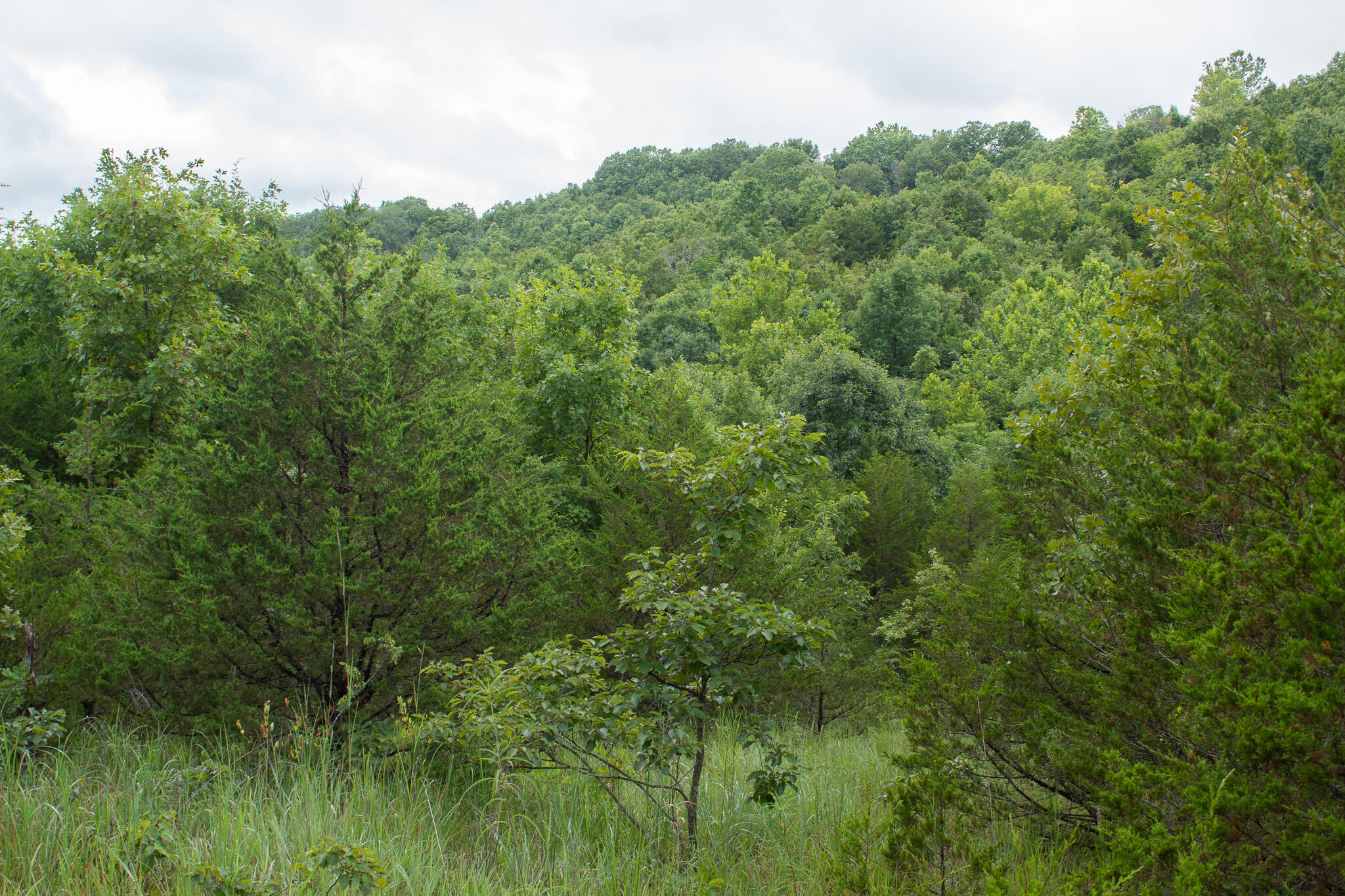 000 Highway 5 Property Photo 43