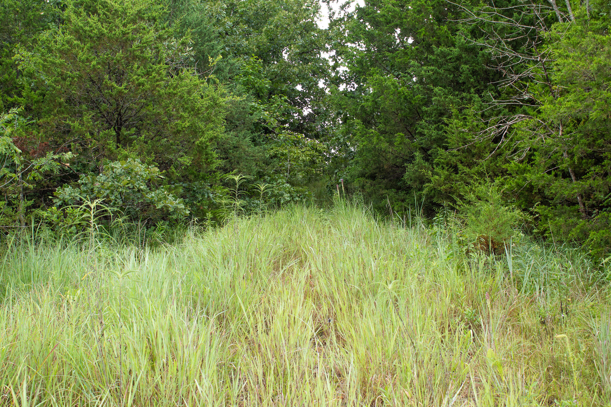 000 Highway 5 Property Photo 44