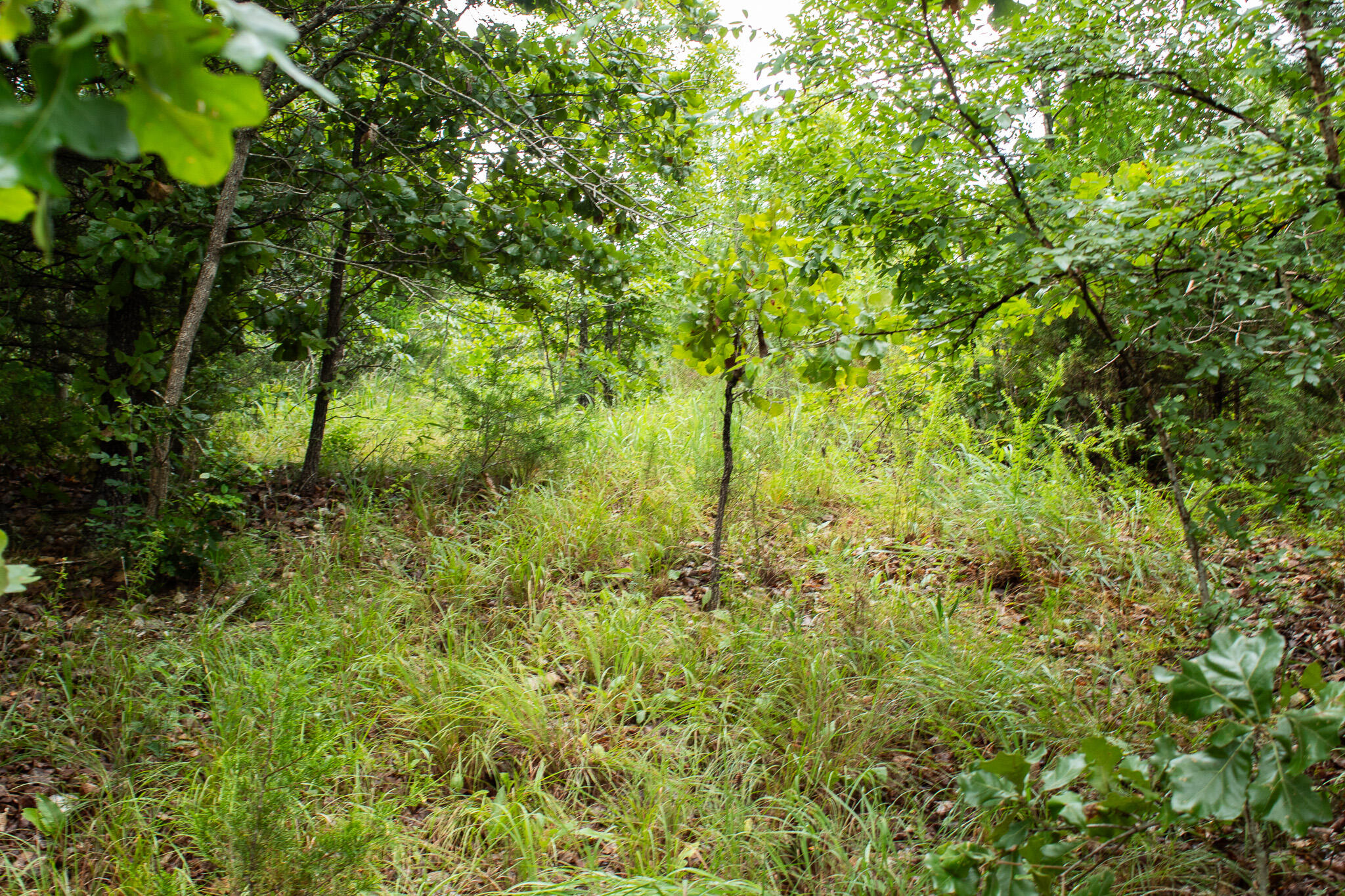 000 Highway 5 Property Photo 47