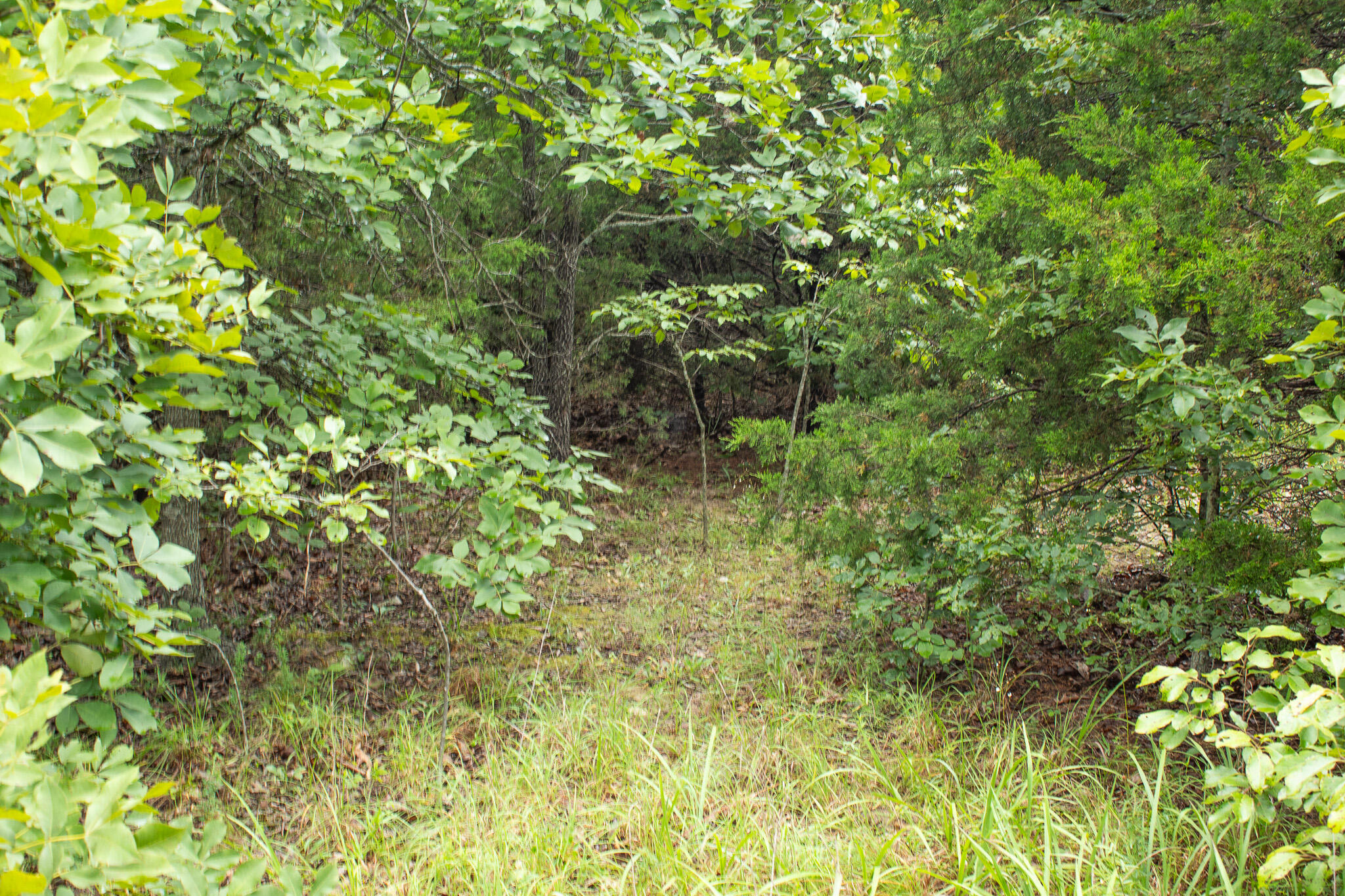 000 Highway 5 Property Photo 48