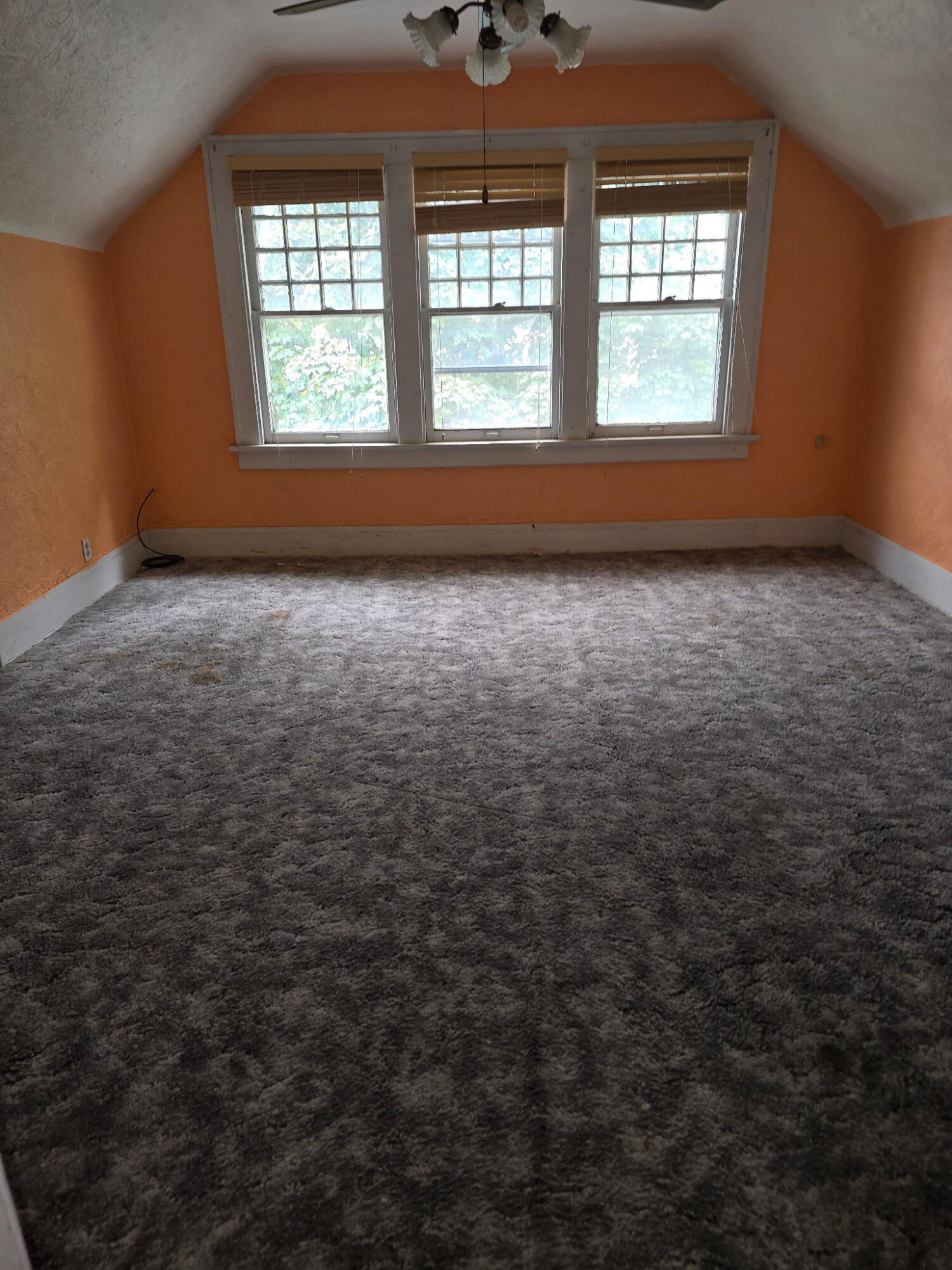 115 North Locust Street Property Photo 7