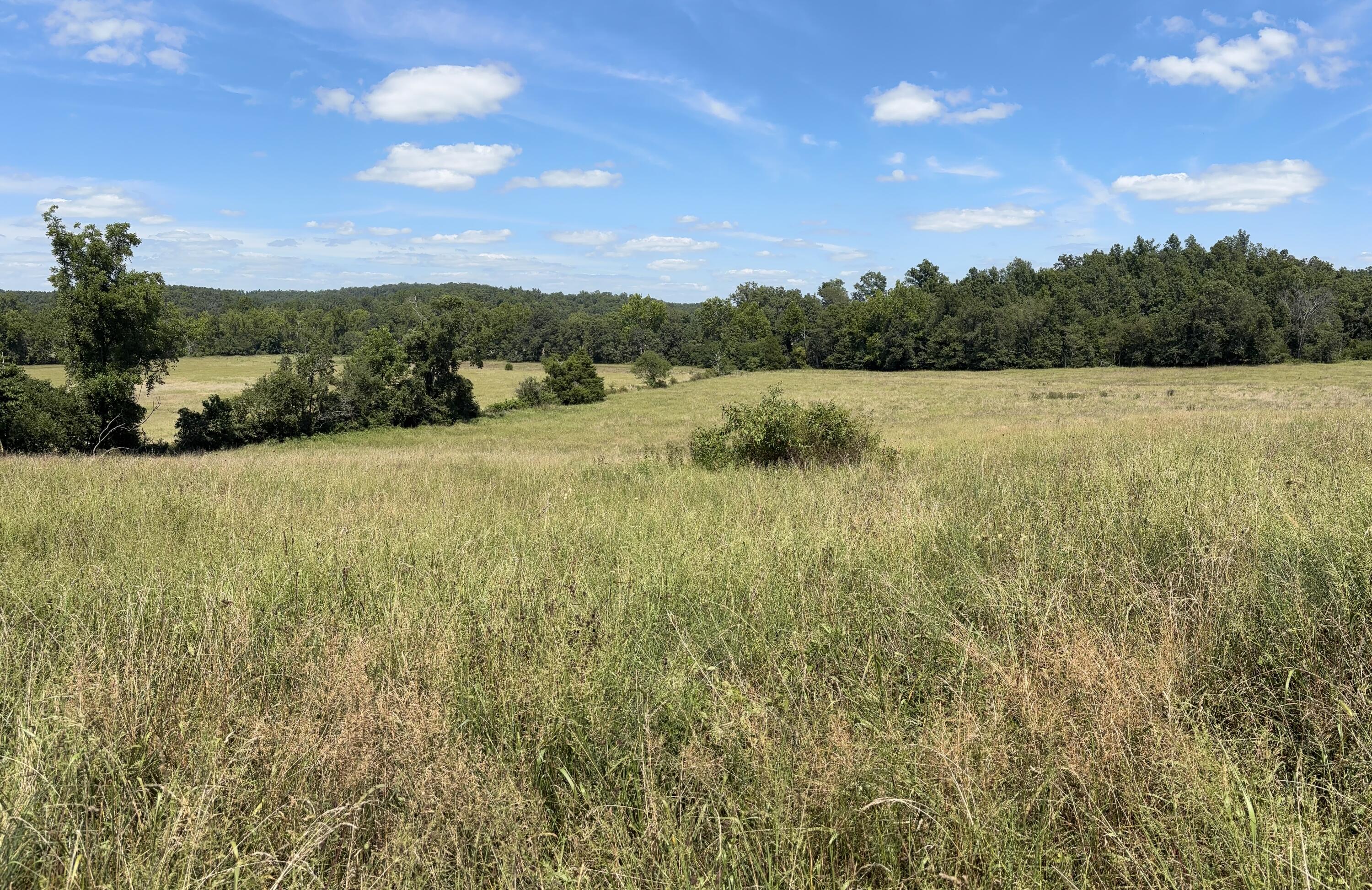3922 County Road 534 Property Photo 1