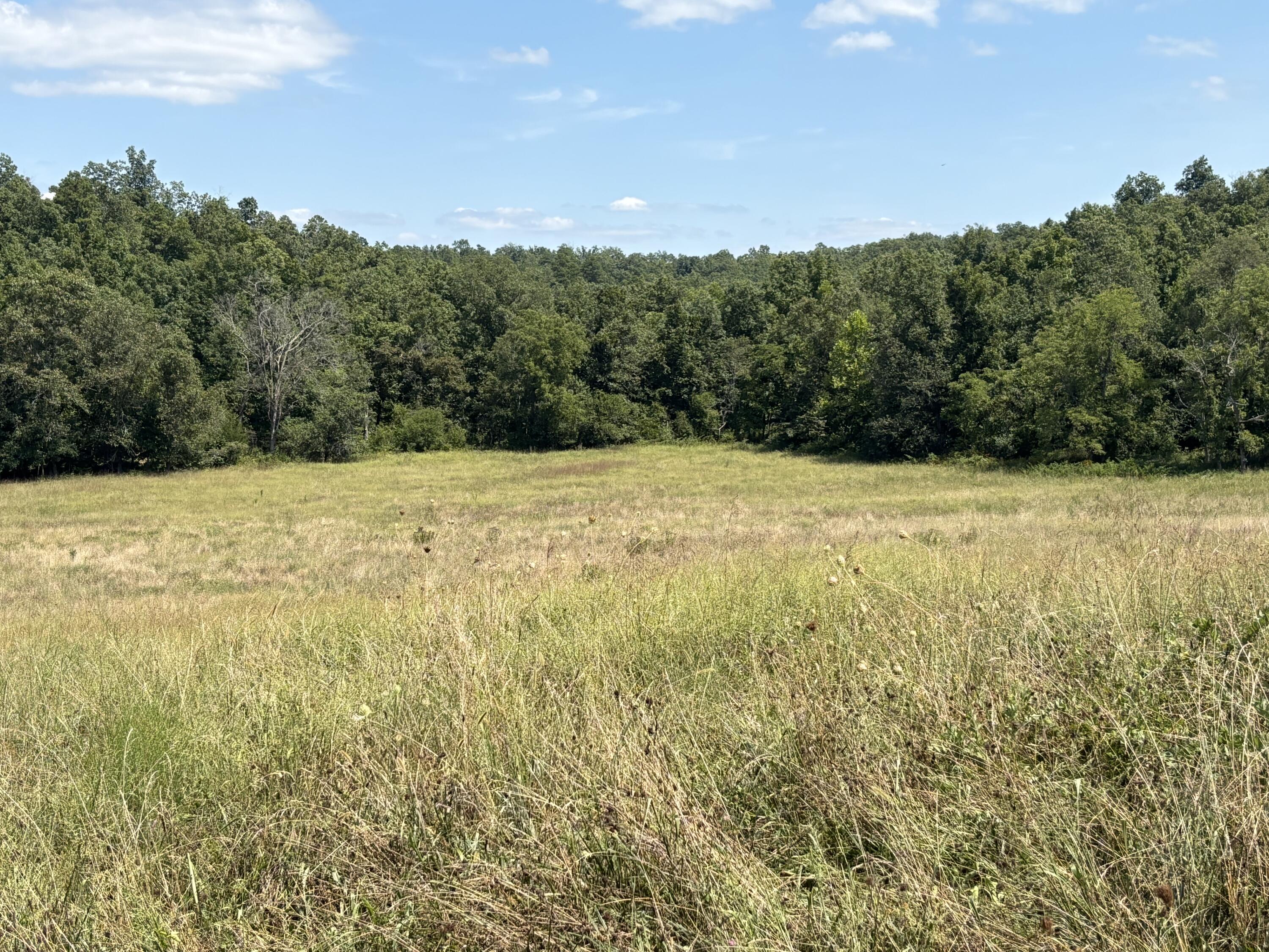 3922 County Road 534 Property Photo 5