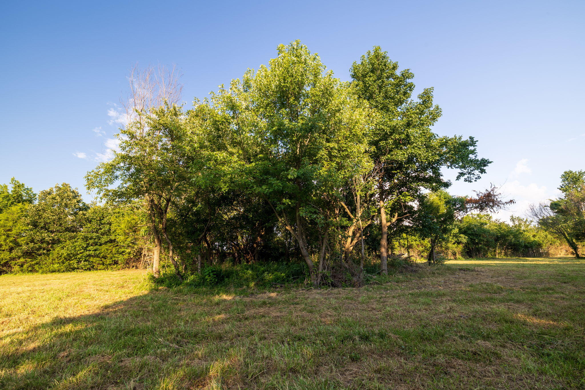 00 East Church Street Property Photo 31