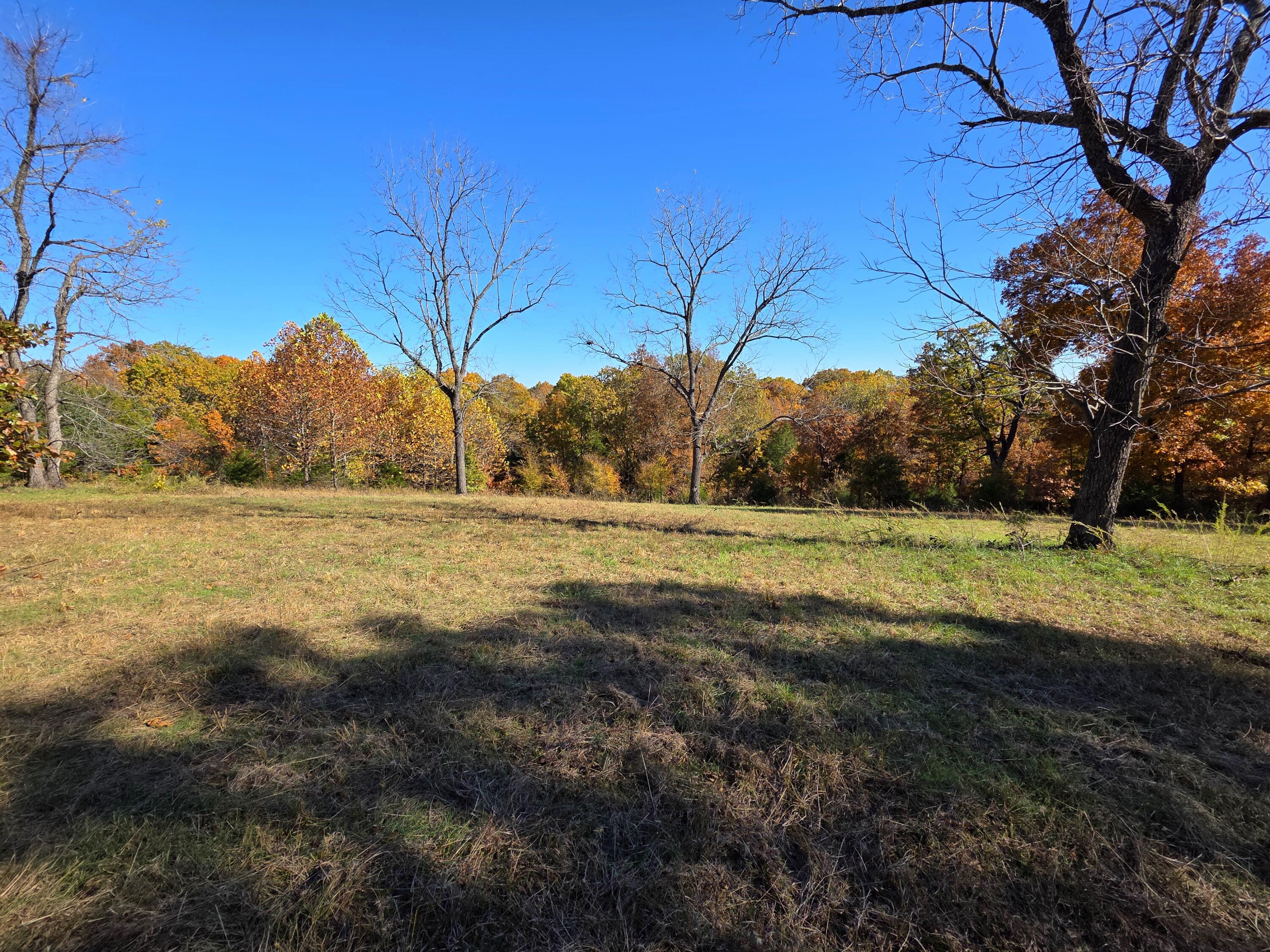 000 State Highway Bb Property Photo 8
