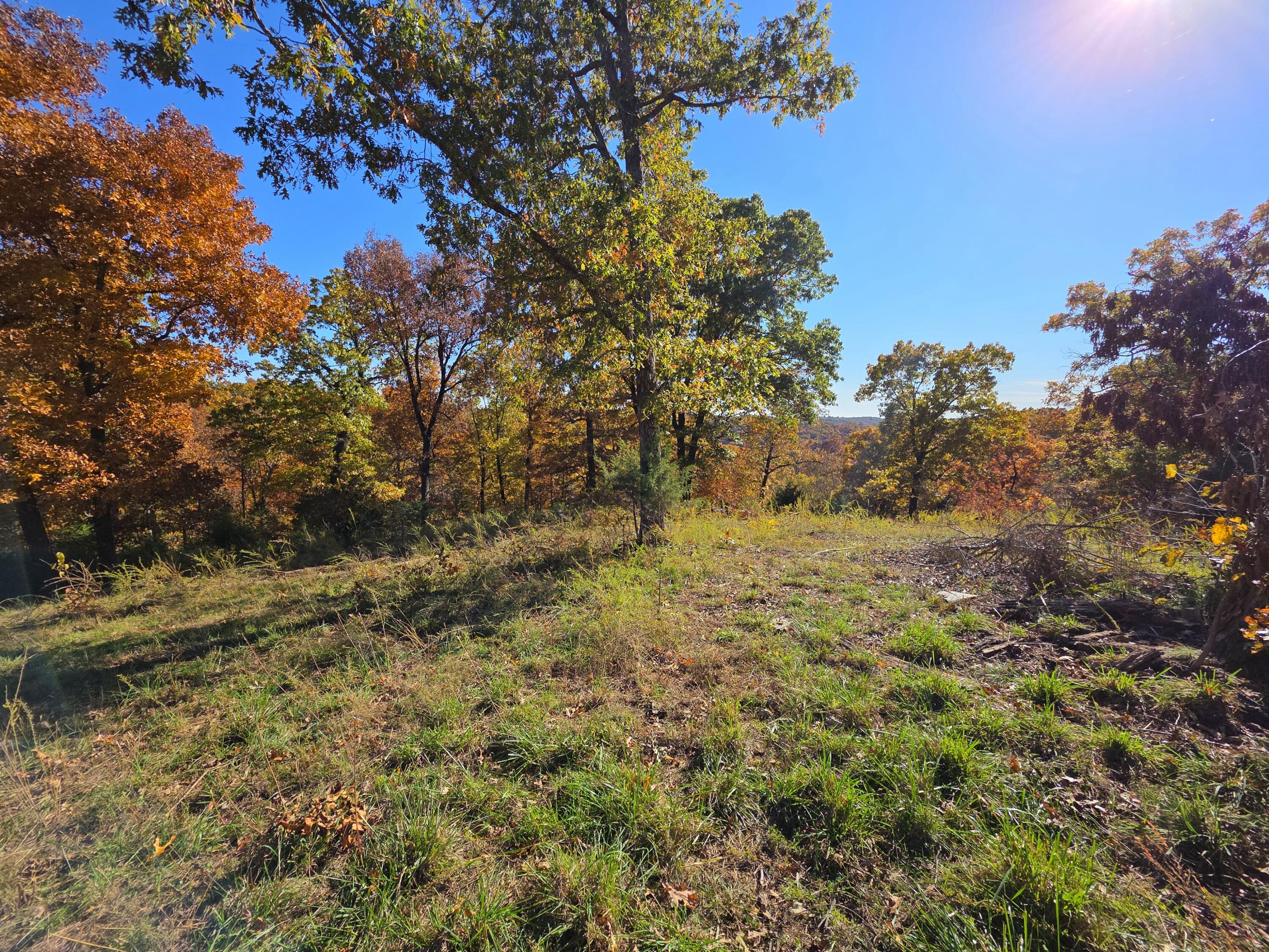 000 State Highway Bb Property Photo 9