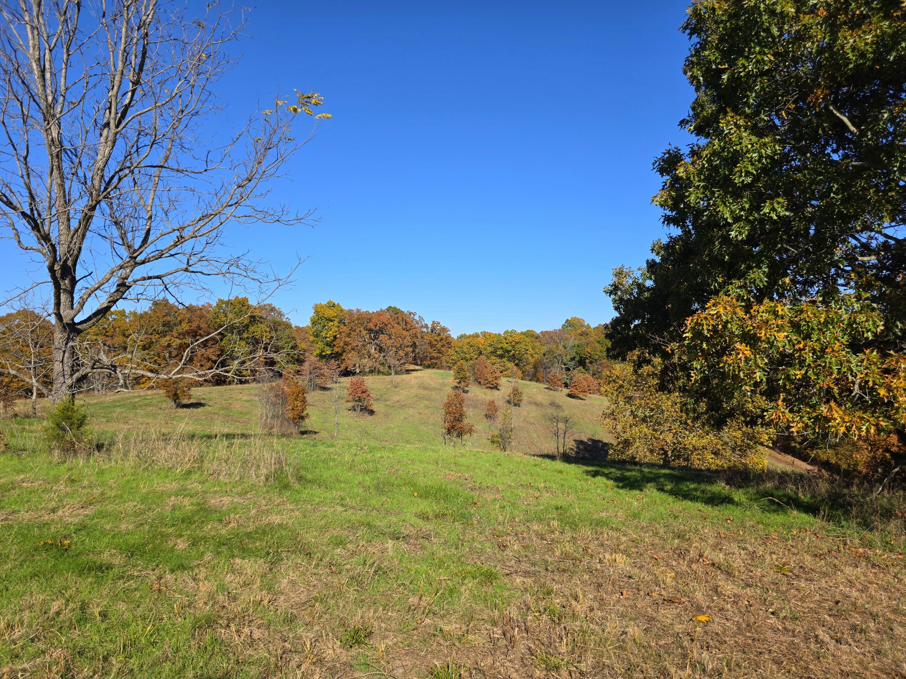 000 State Highway Bb Property Photo 14