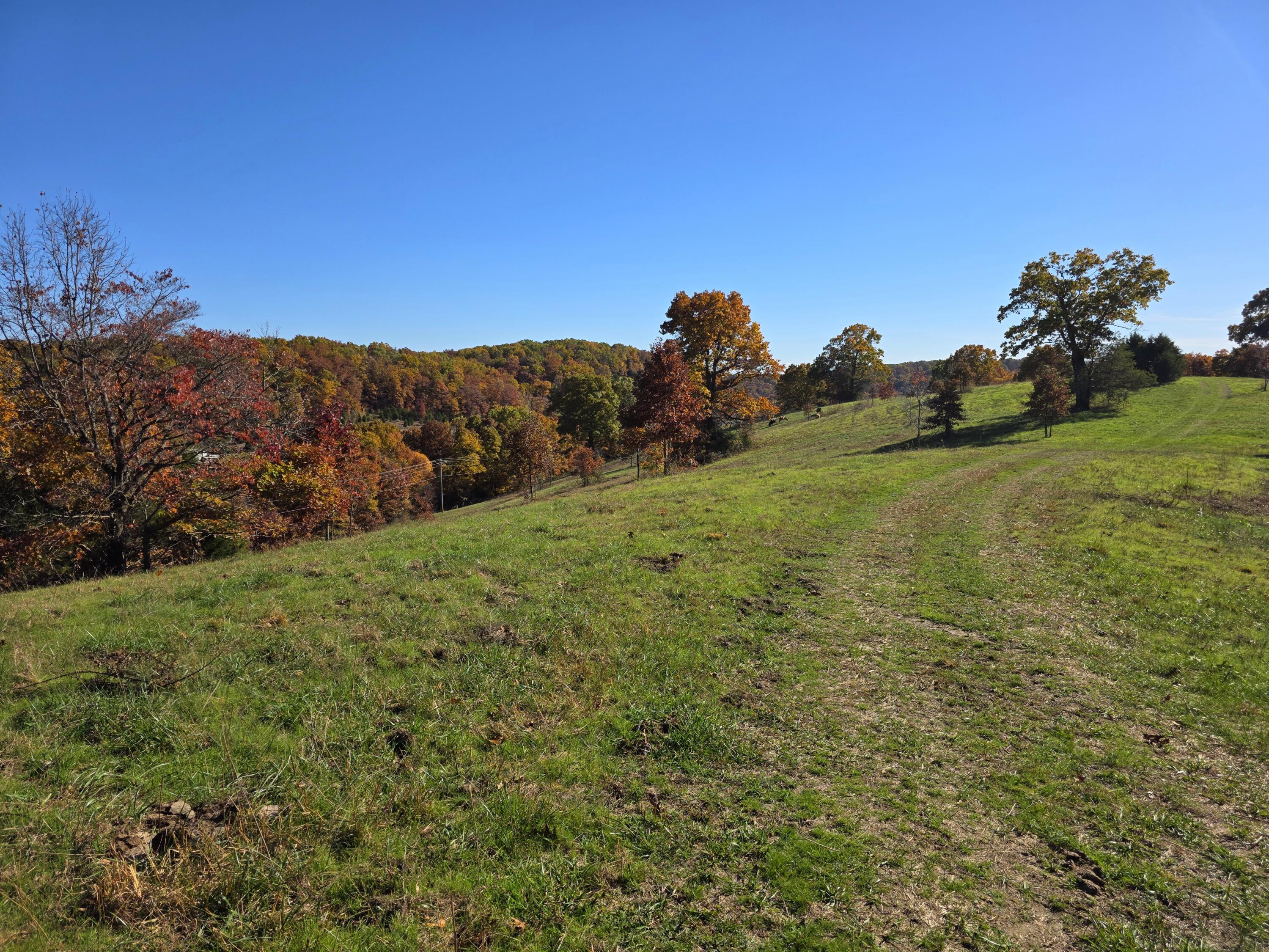 000 State Highway Bb Property Photo 15