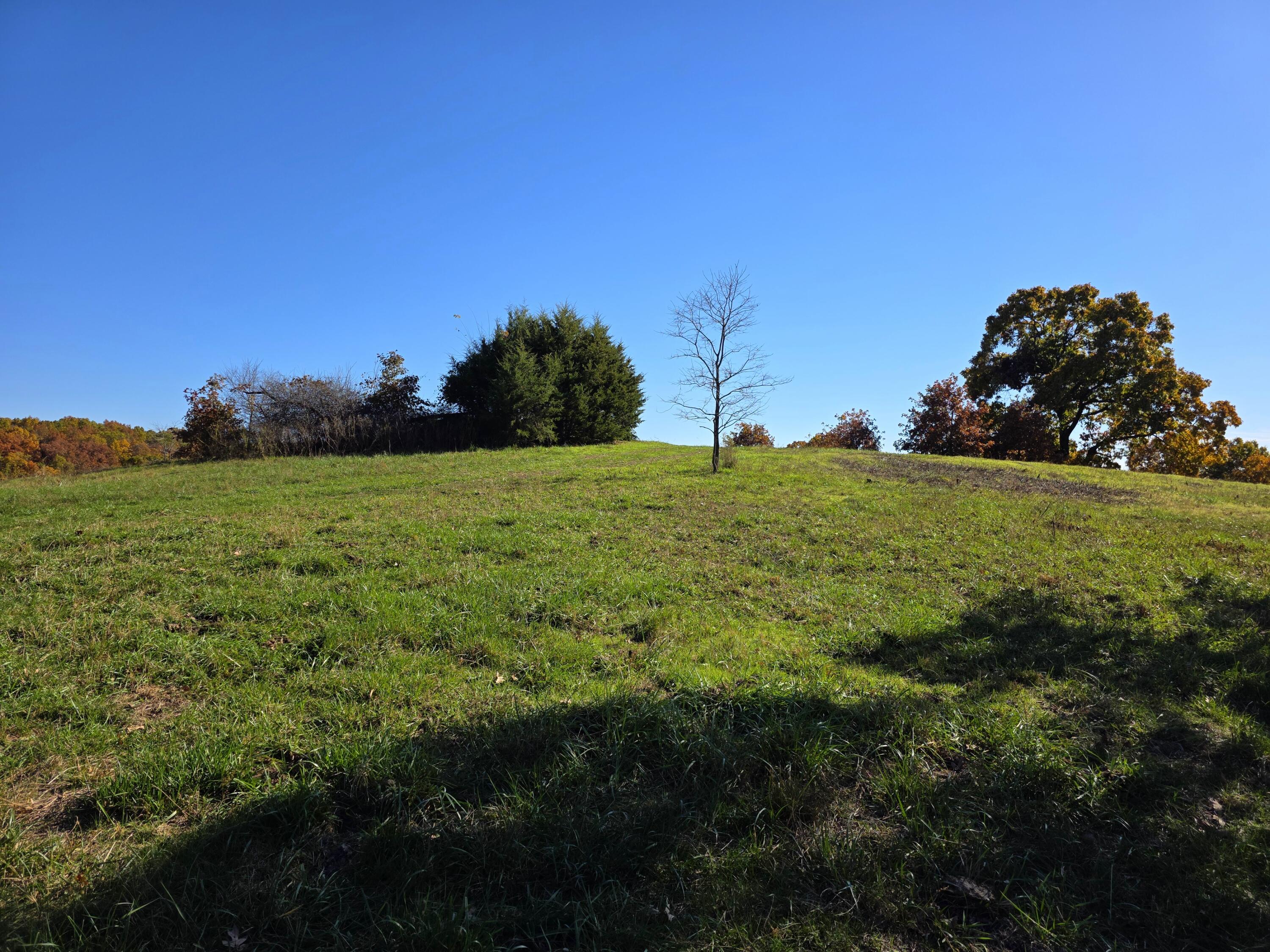 000 State Highway Bb Property Photo 17