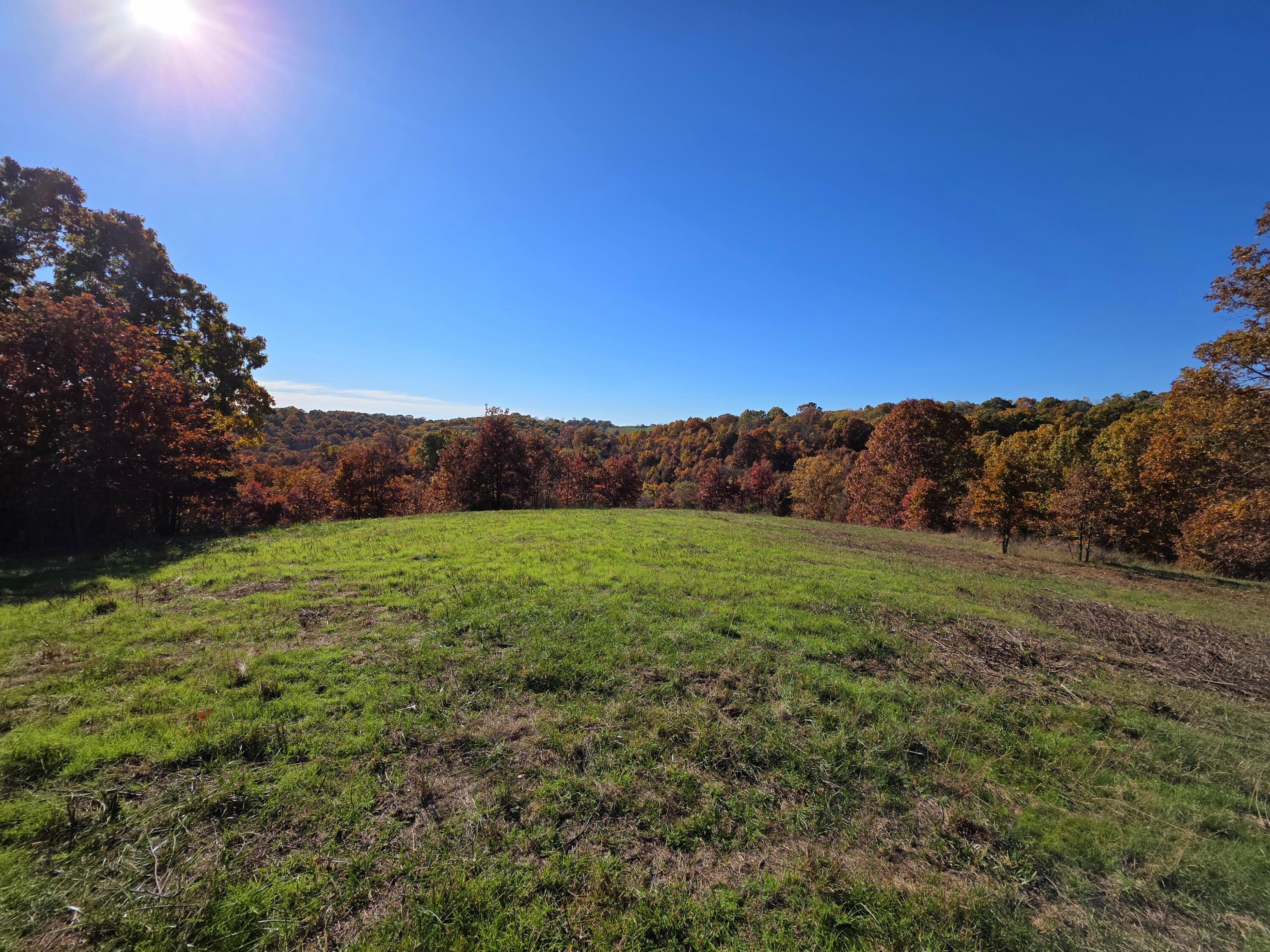 000 State Highway Bb Property Photo 19