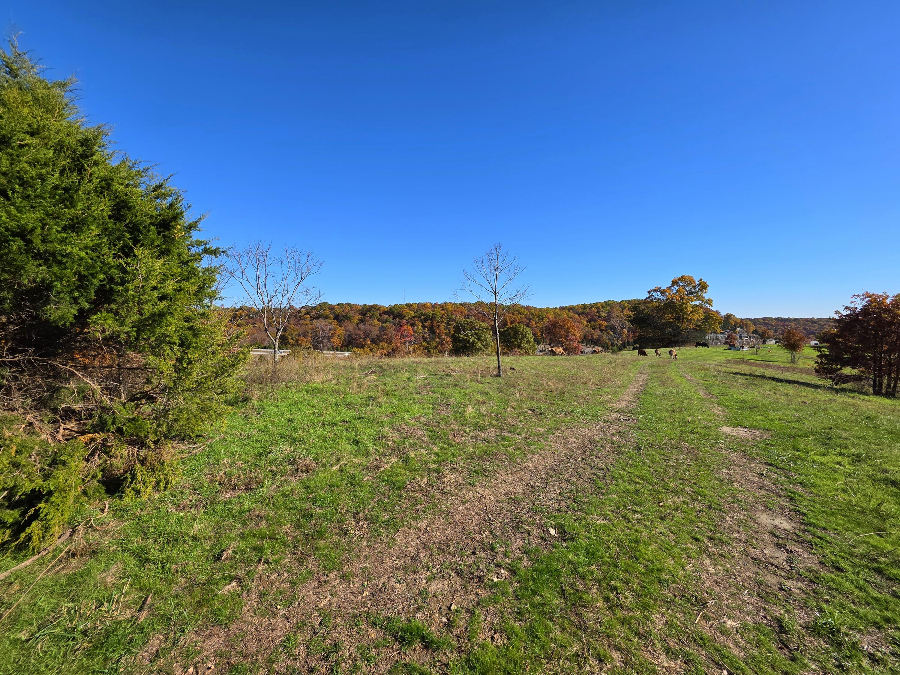000 State Highway Bb Property Photo 20