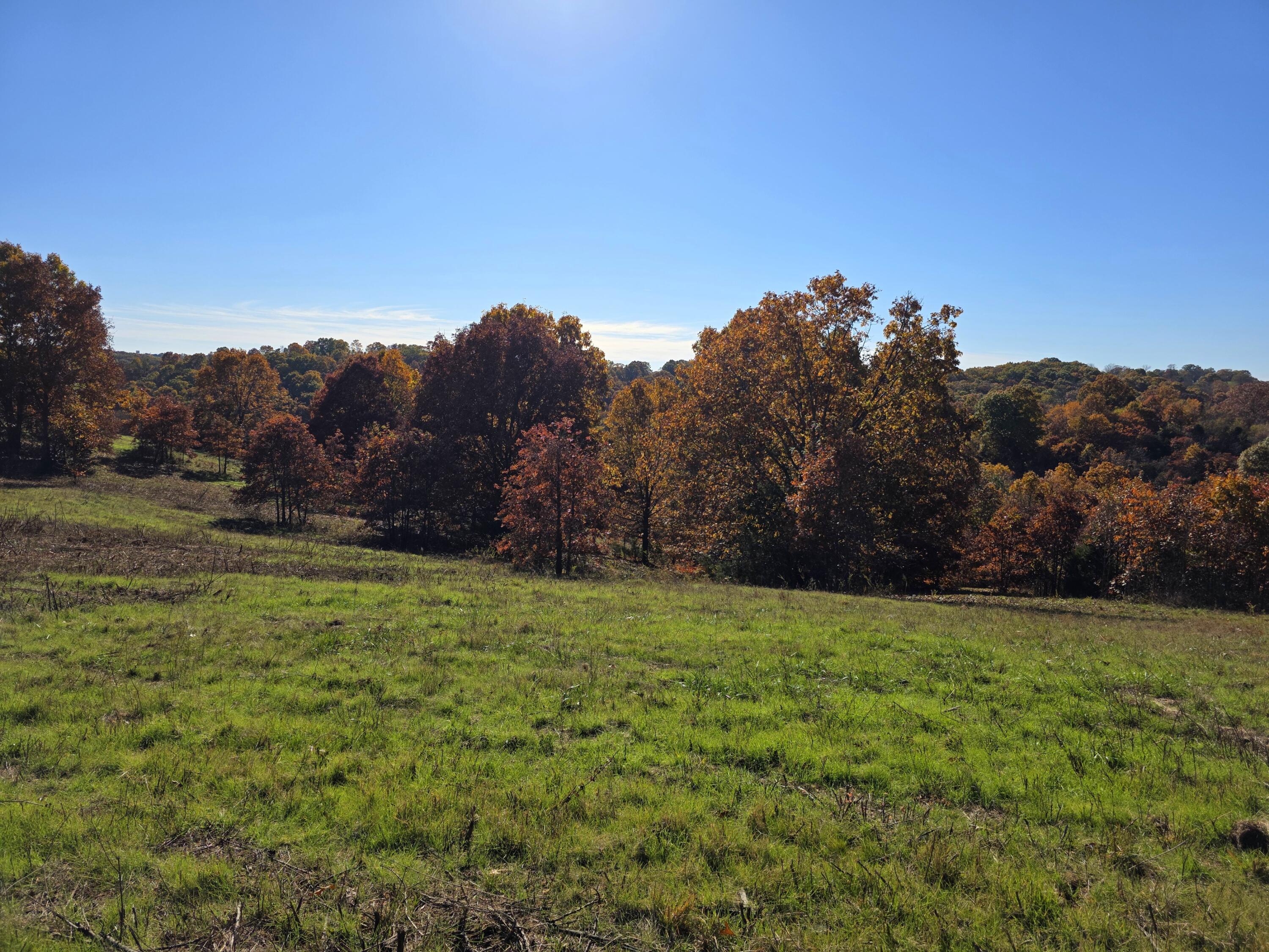 000 State Highway Bb Property Photo 21