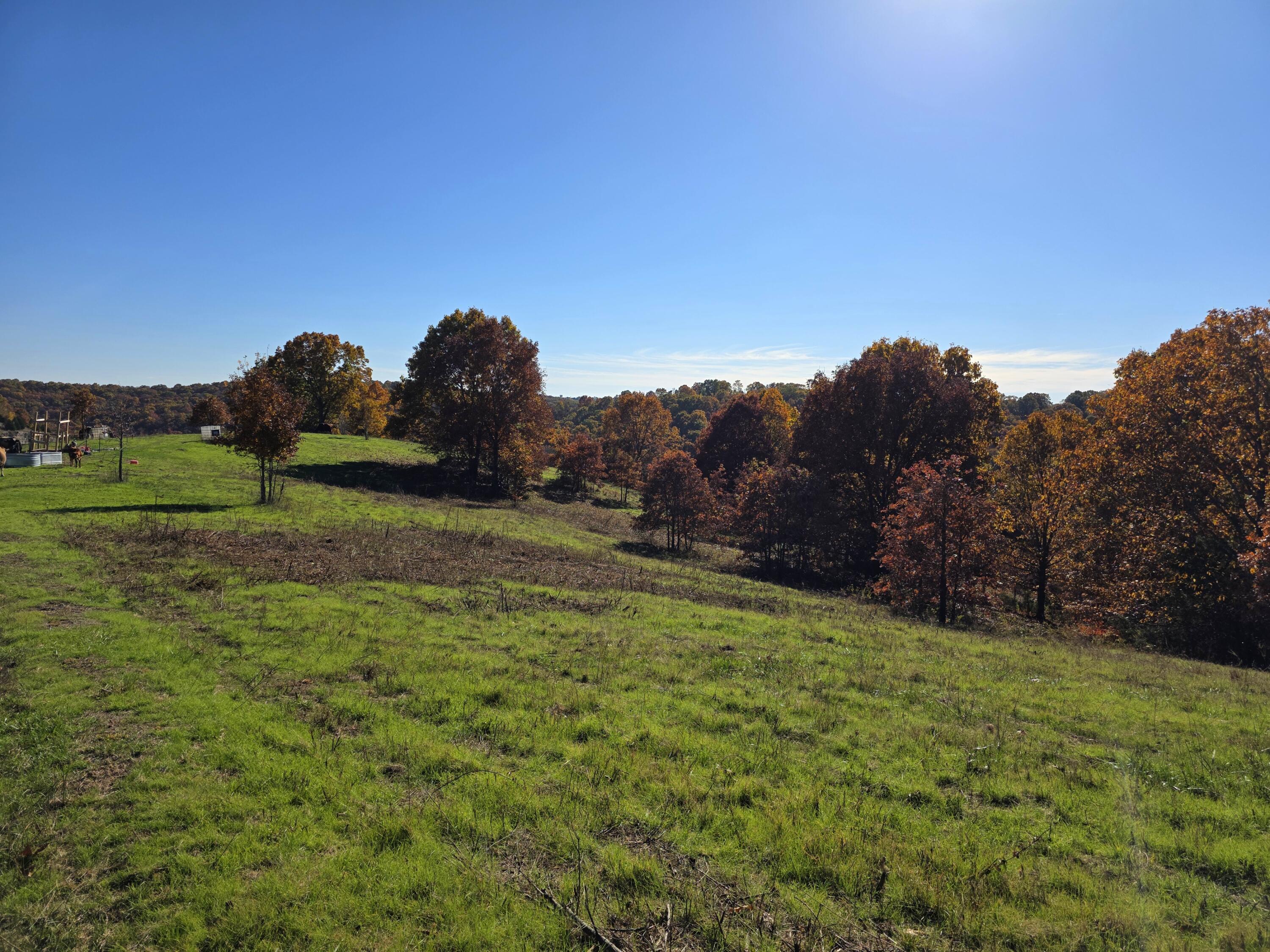 000 State Highway Bb Property Photo 22