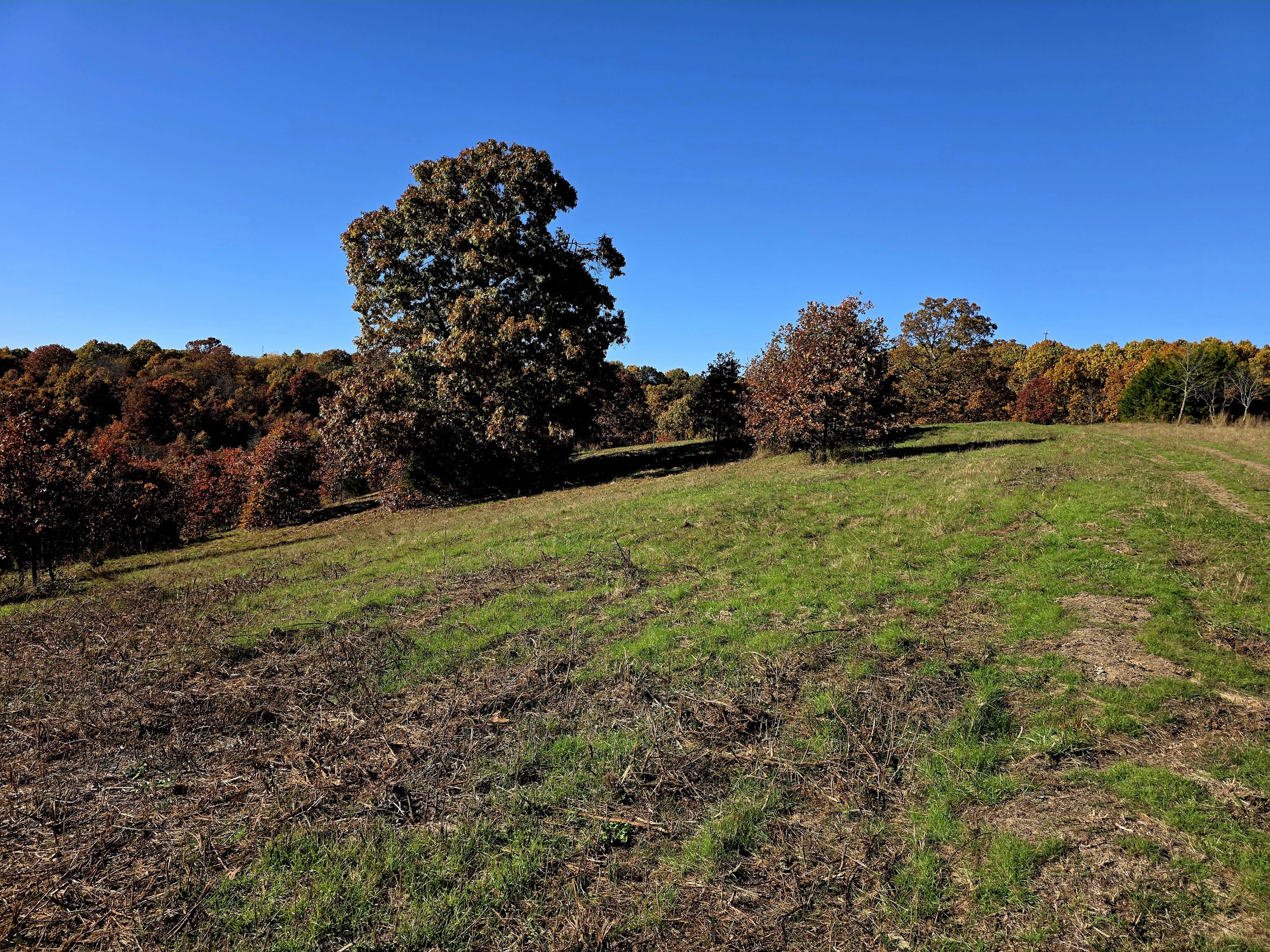 000 State Highway Bb Property Photo 24