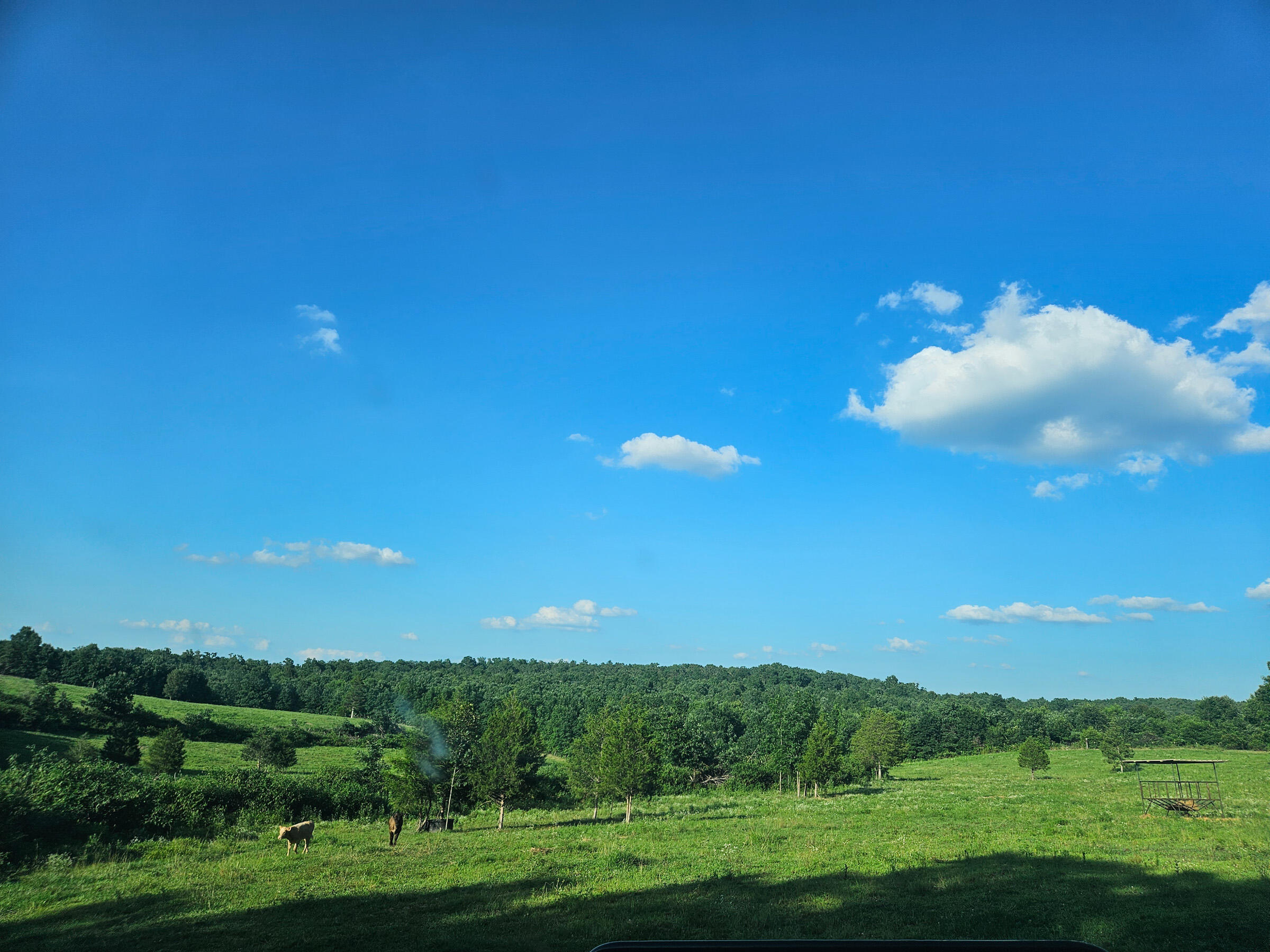 4118 County Road U-659 Property Photo 2