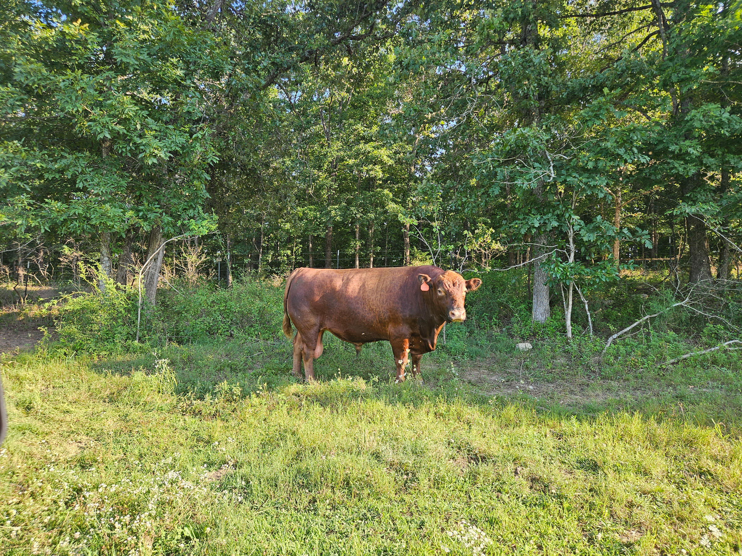 4118 County Road U-659 Property Photo 5