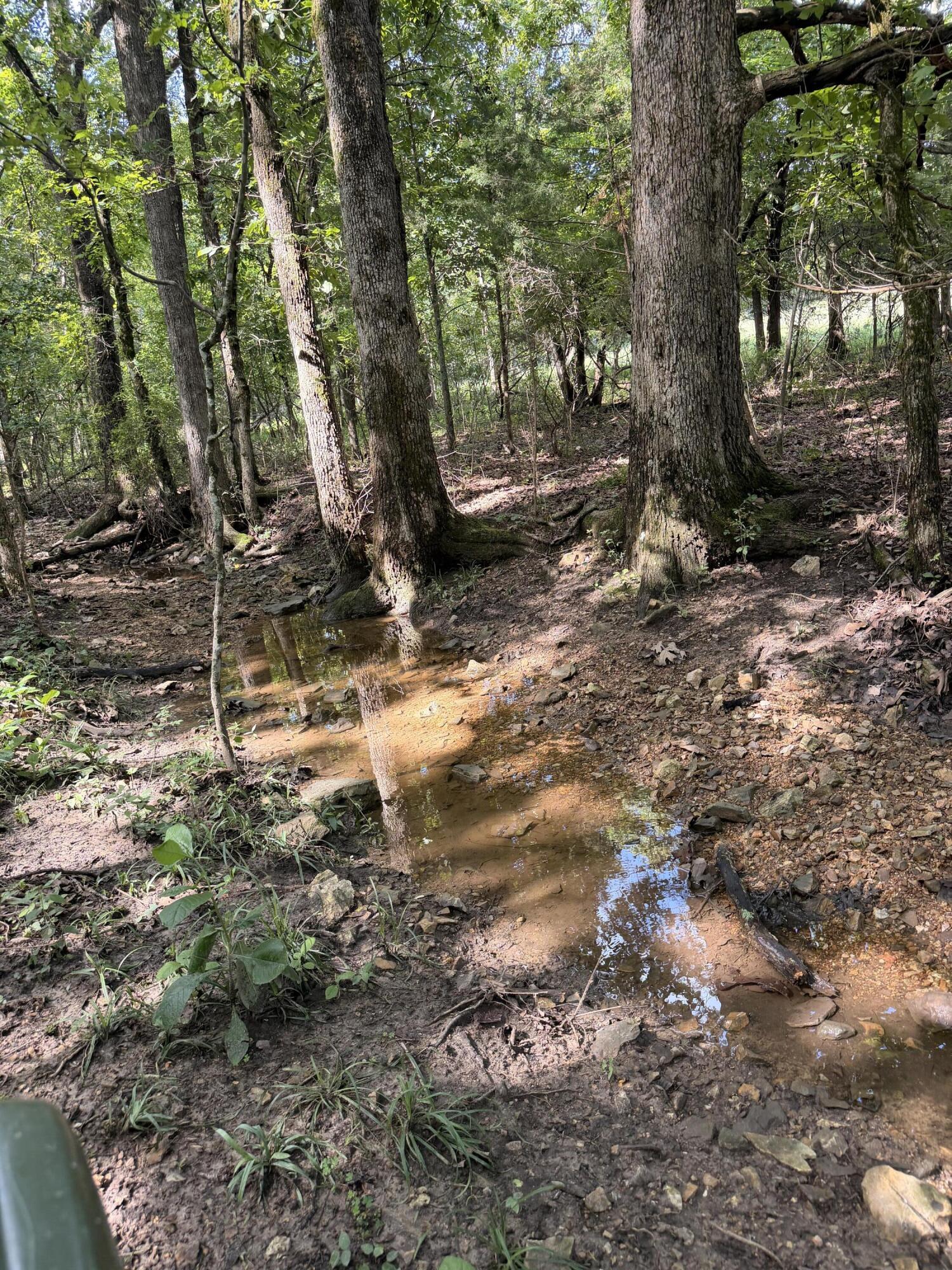 4710 State Route A Property Photo 8