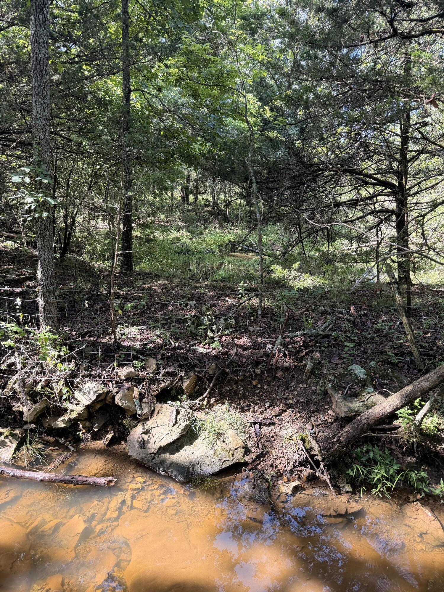 4710 State Route A Property Photo 11