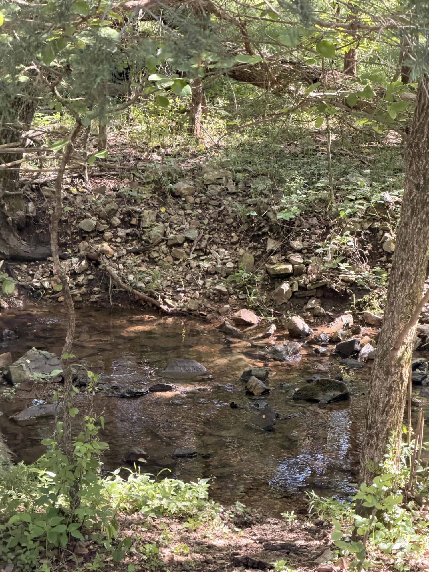 4710 State Route A Property Photo 15
