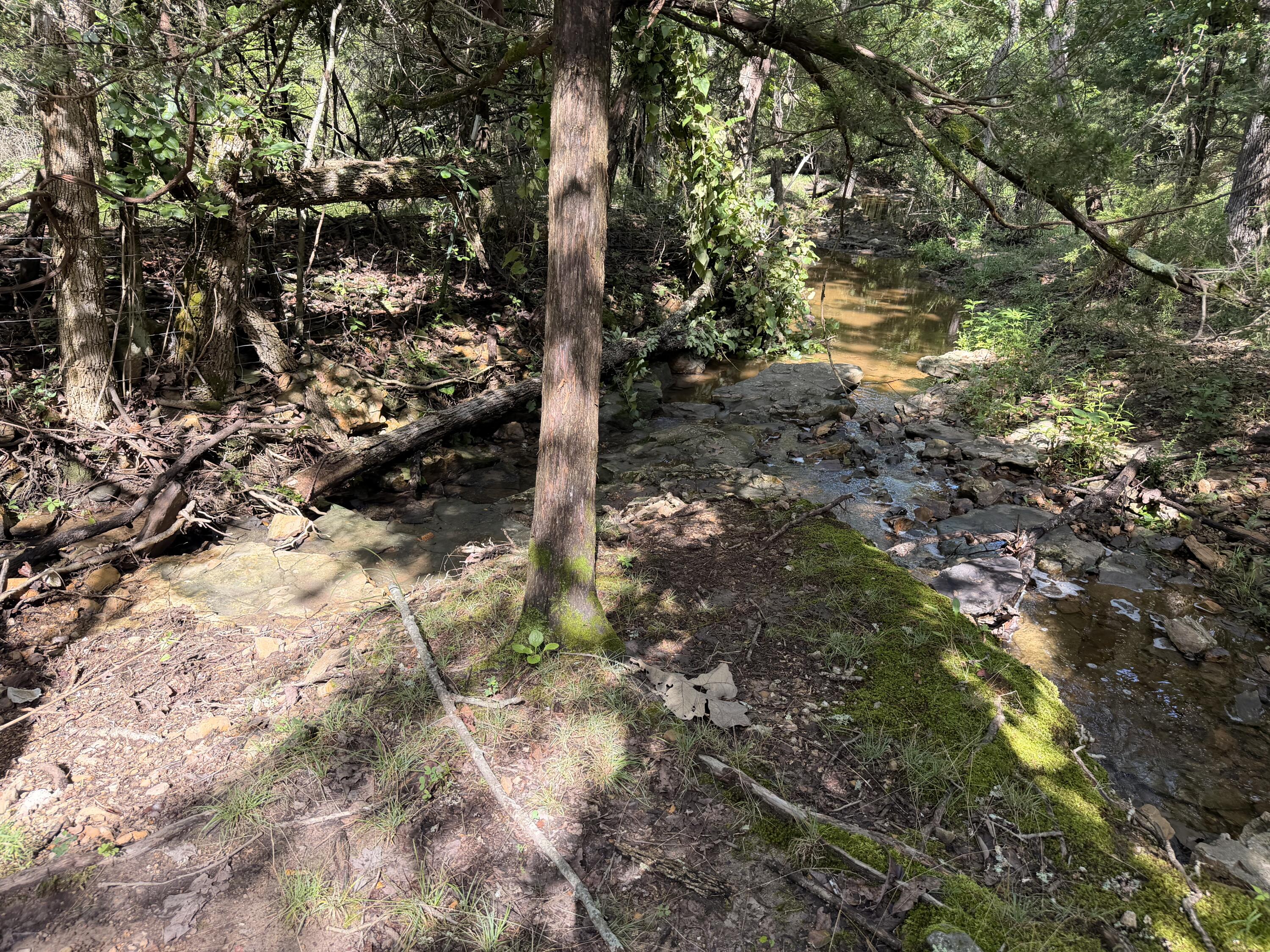 4710 State Route A Property Photo 19