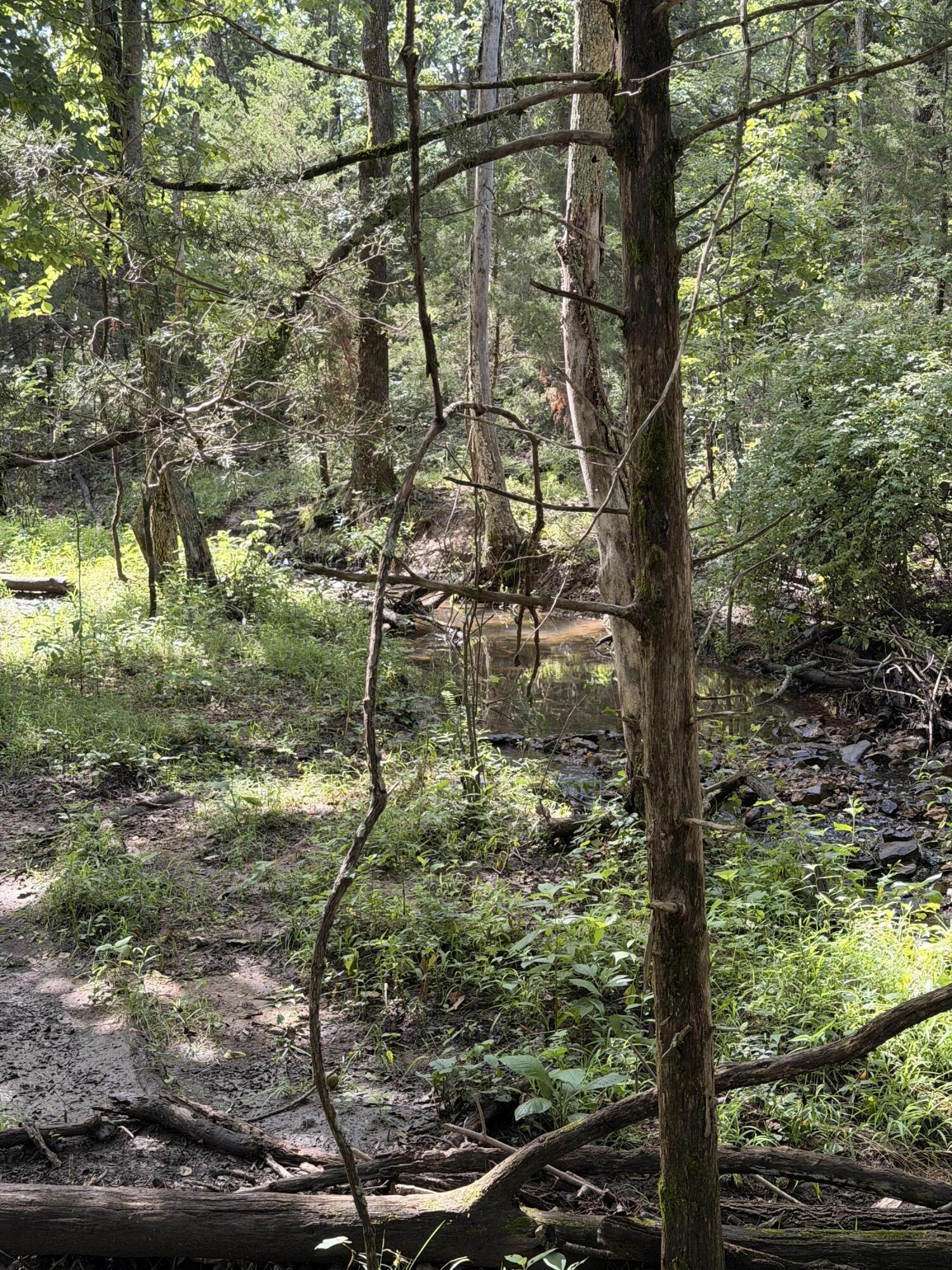 4710 State Route A Property Photo 21