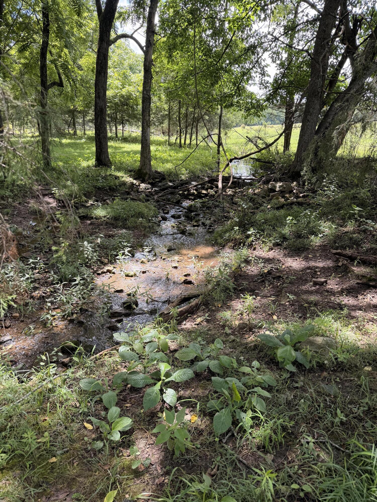 4710 State Route A Property Photo 29