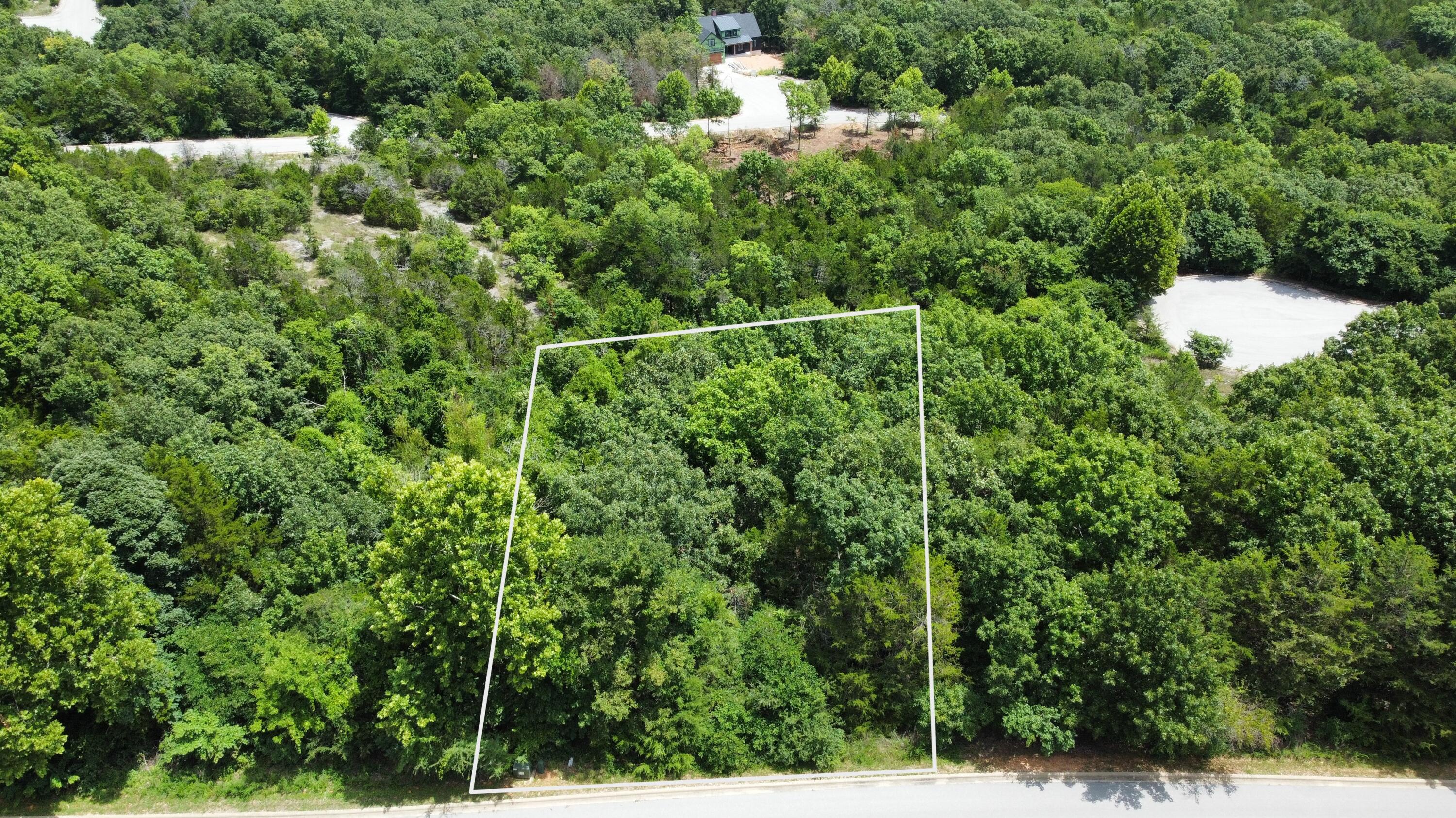 000 Crescent Lot 198 Drive Property Photo 3