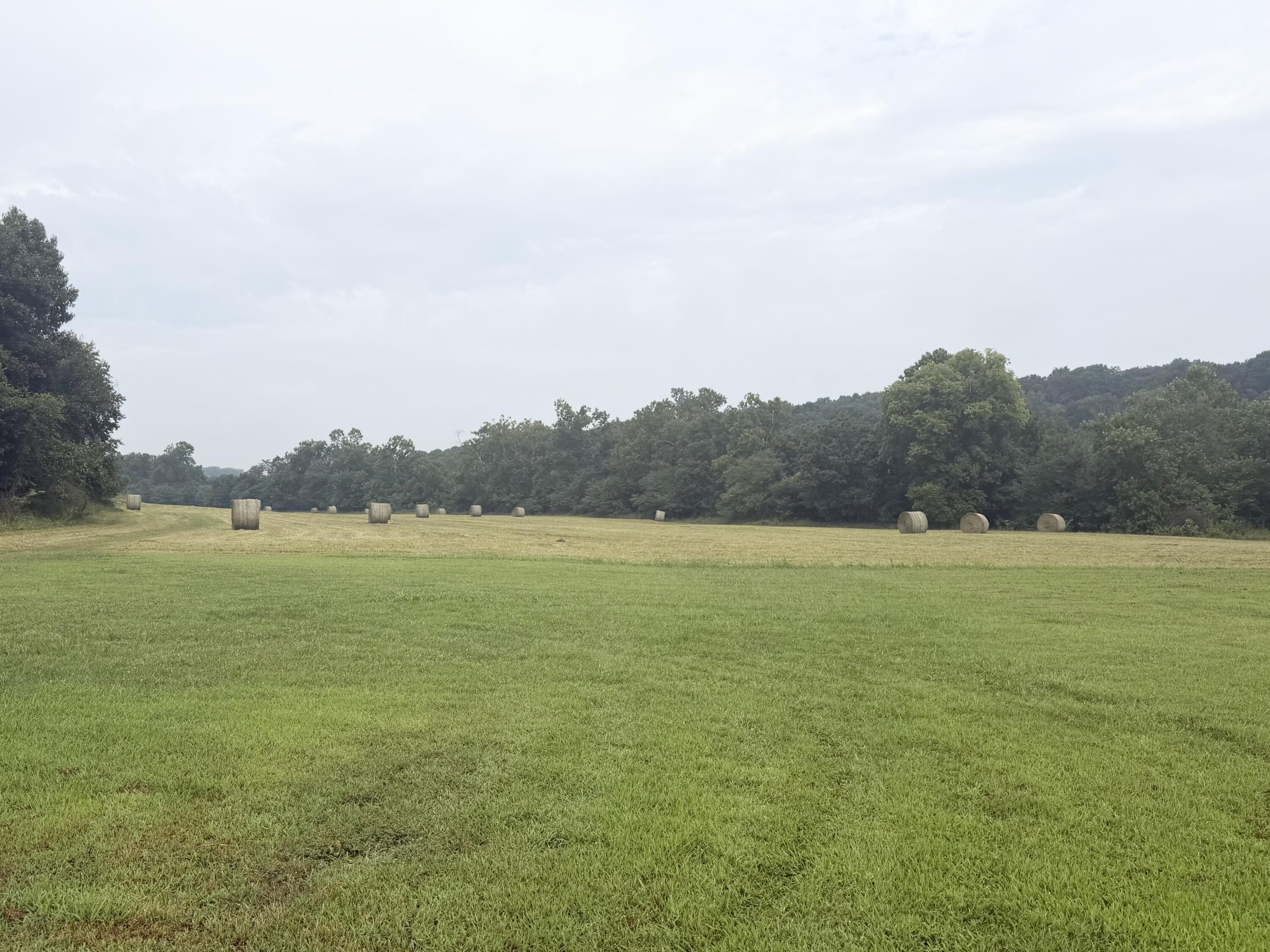 4811 Hwy Mm Property Photo 29