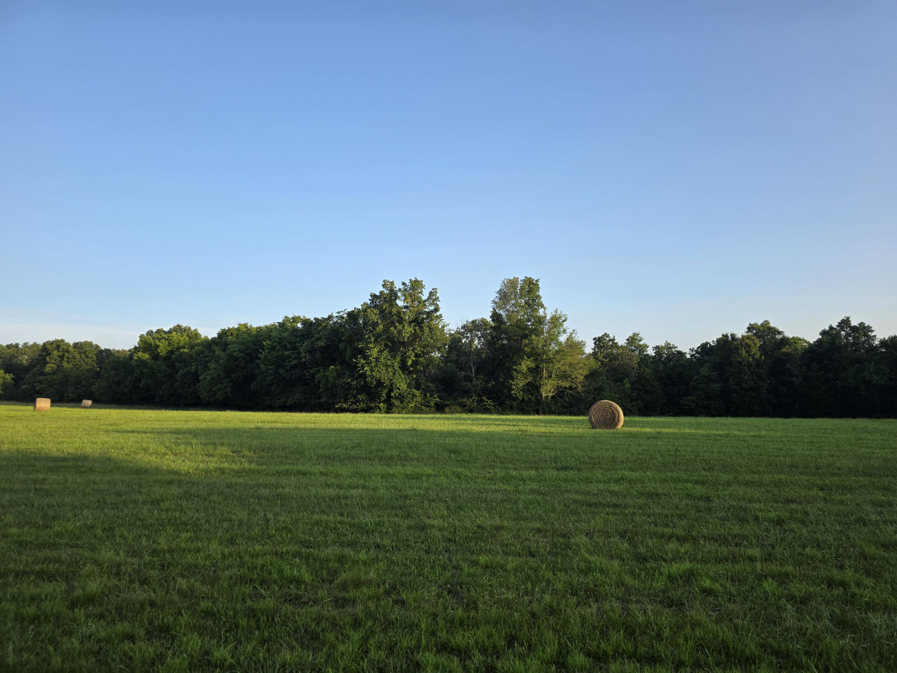 Tract A Freedom Road Property Photo 4
