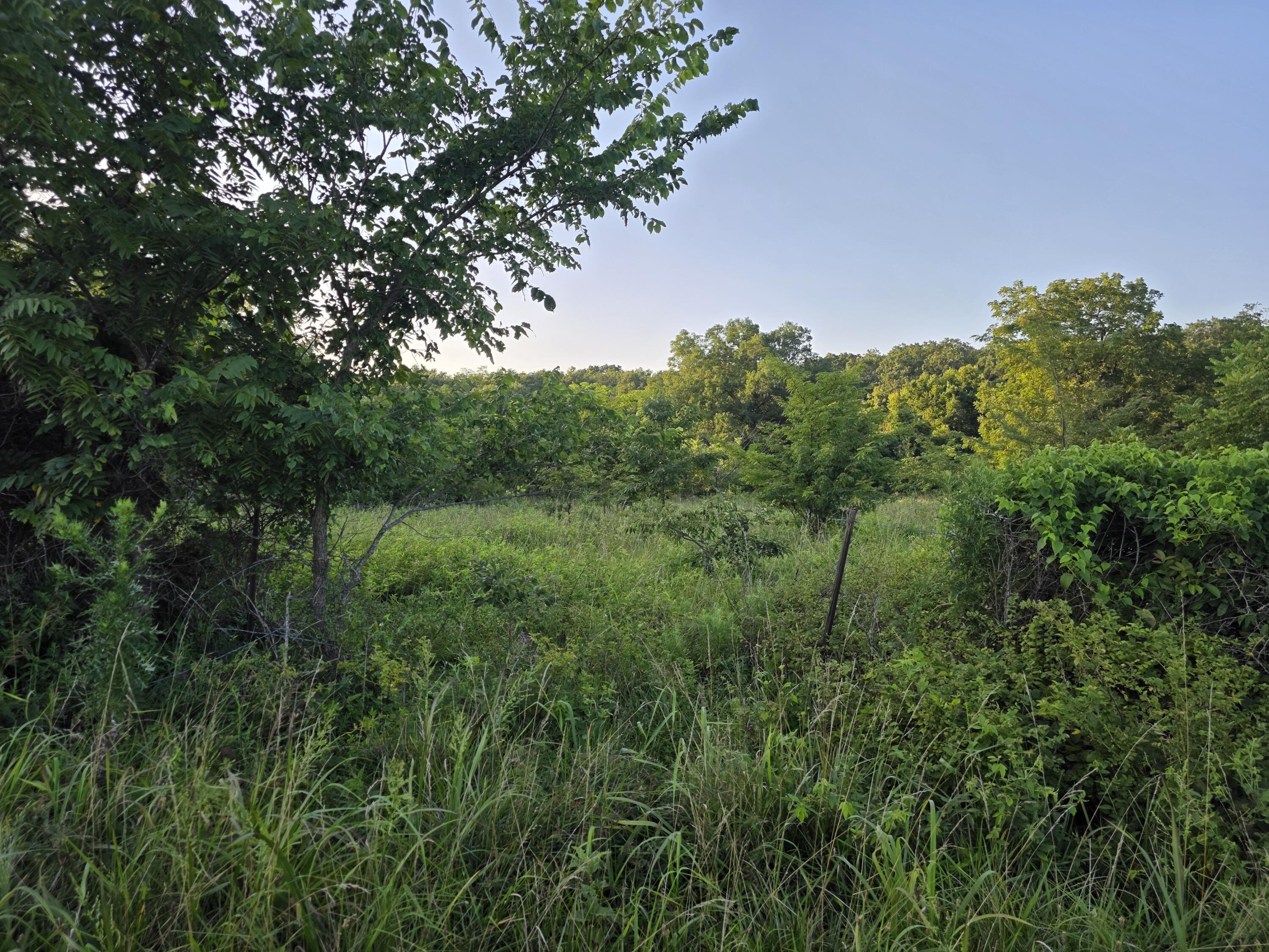 Tract A Freedom Road Property Photo 8