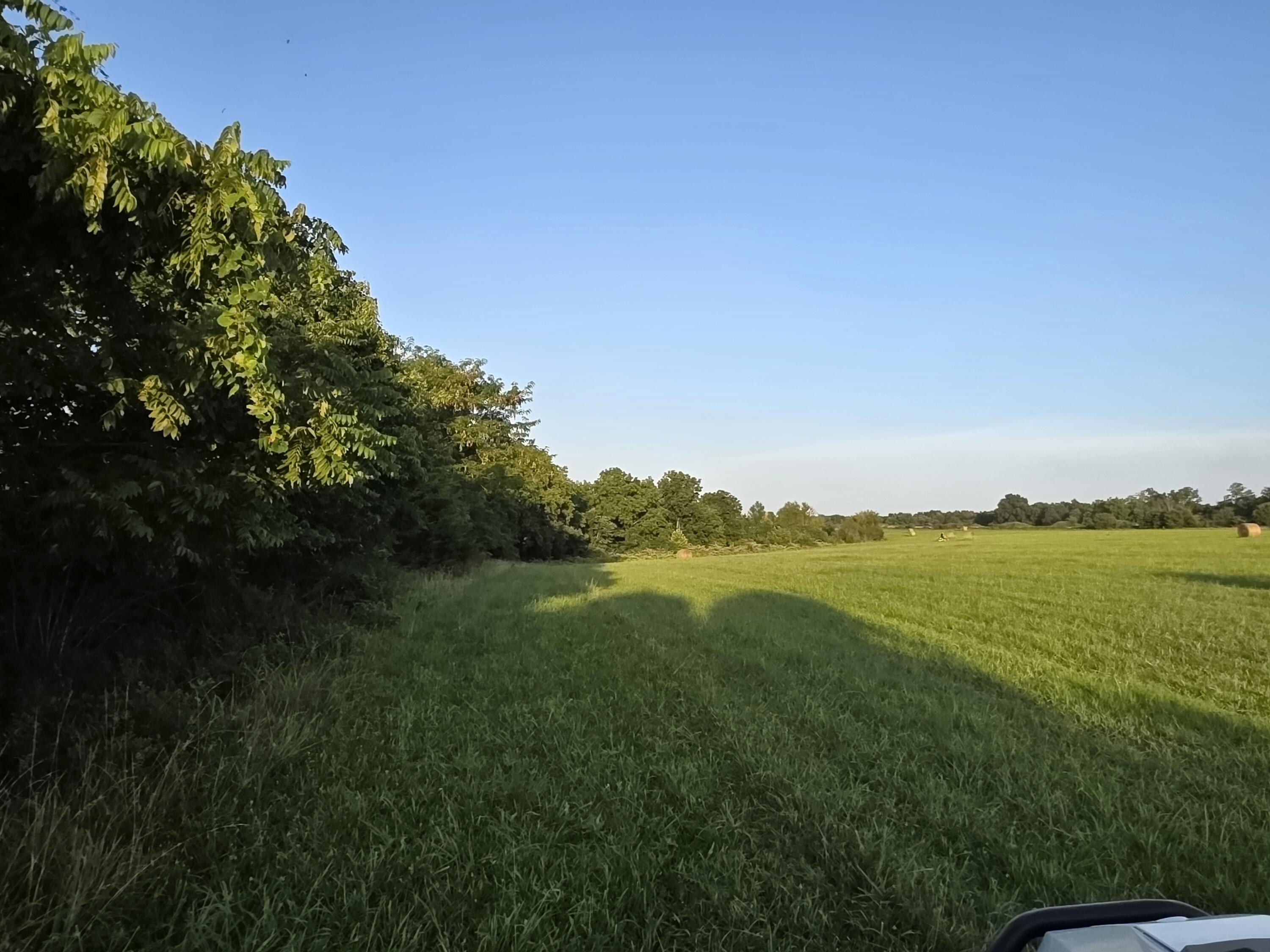 Tract A Freedom Road Property Photo 9