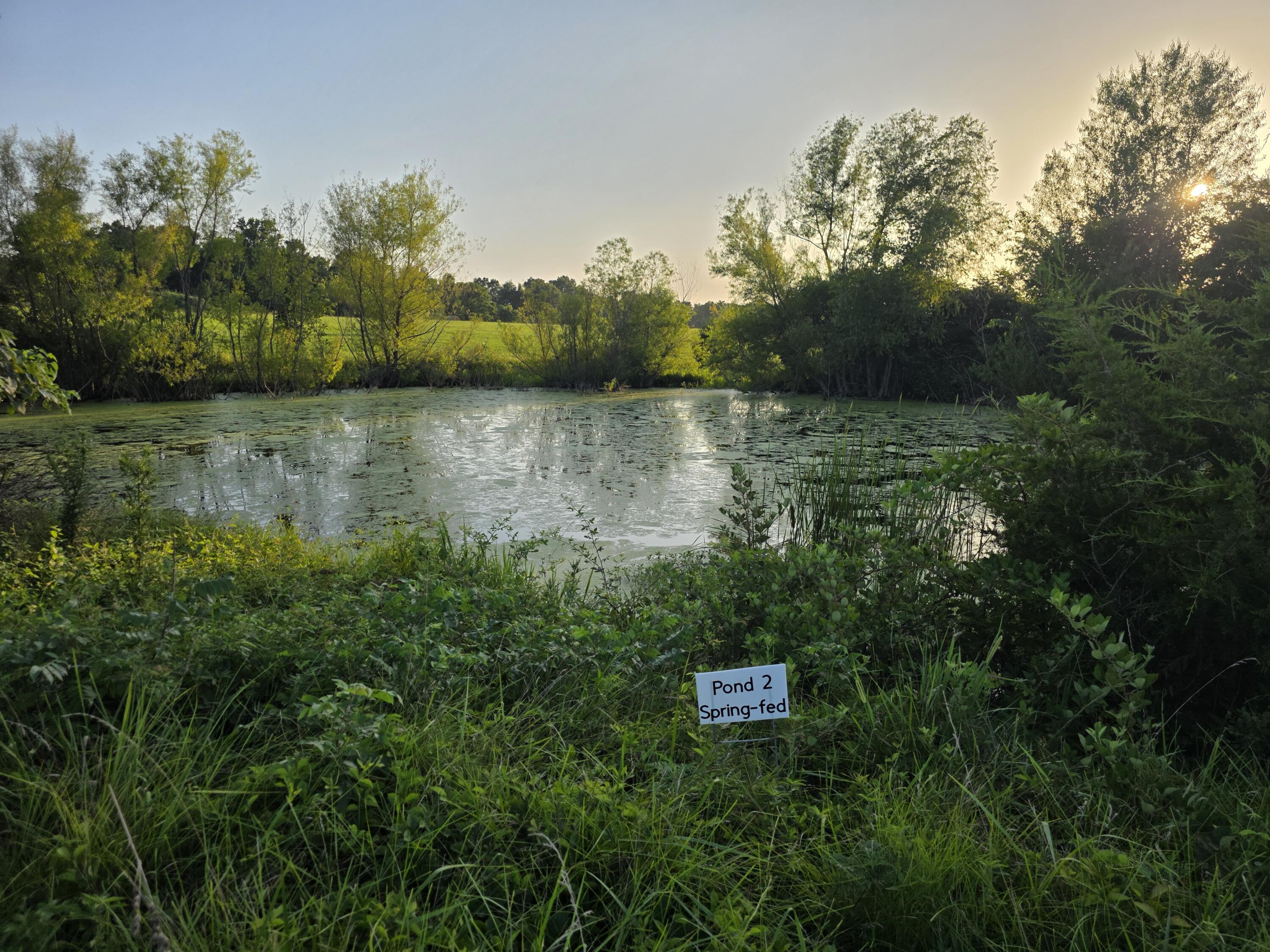 Tract B Freedom Road Property Photo 6