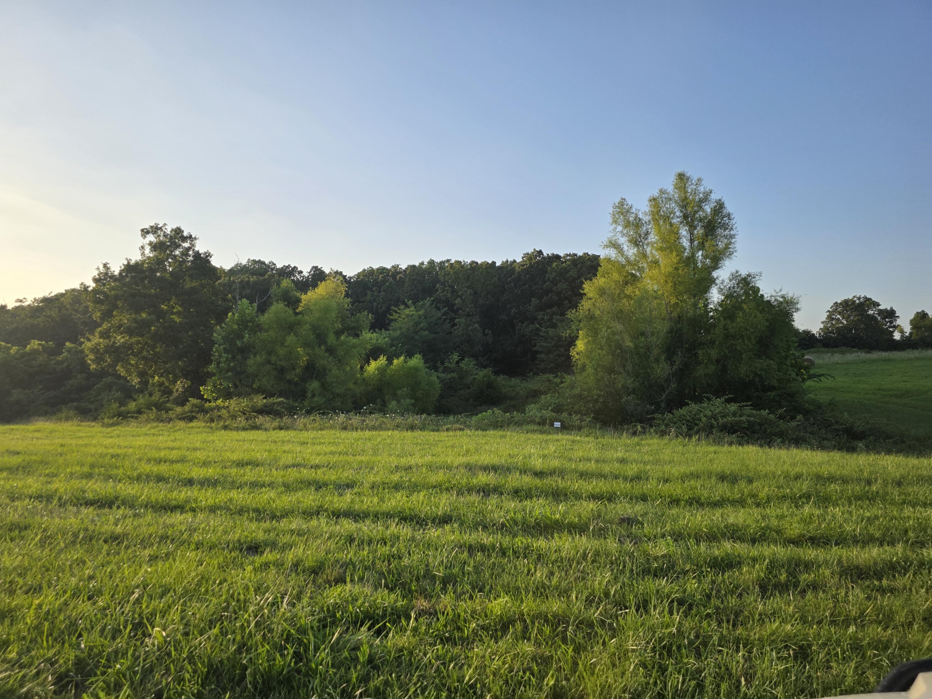 Tract B Freedom Road Property Photo 7