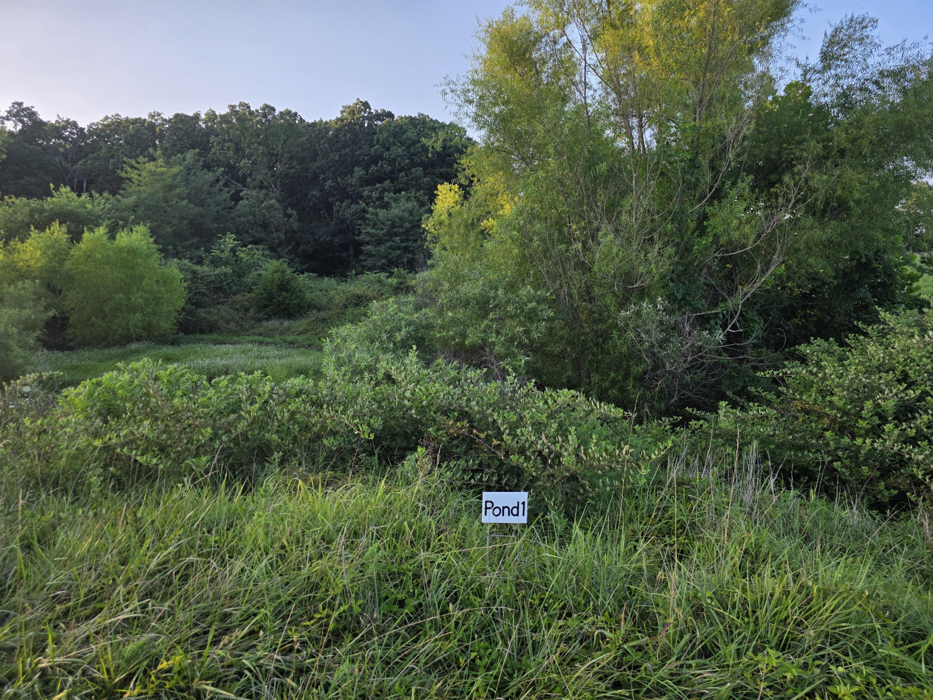 Tract B Freedom Road Property Photo 8