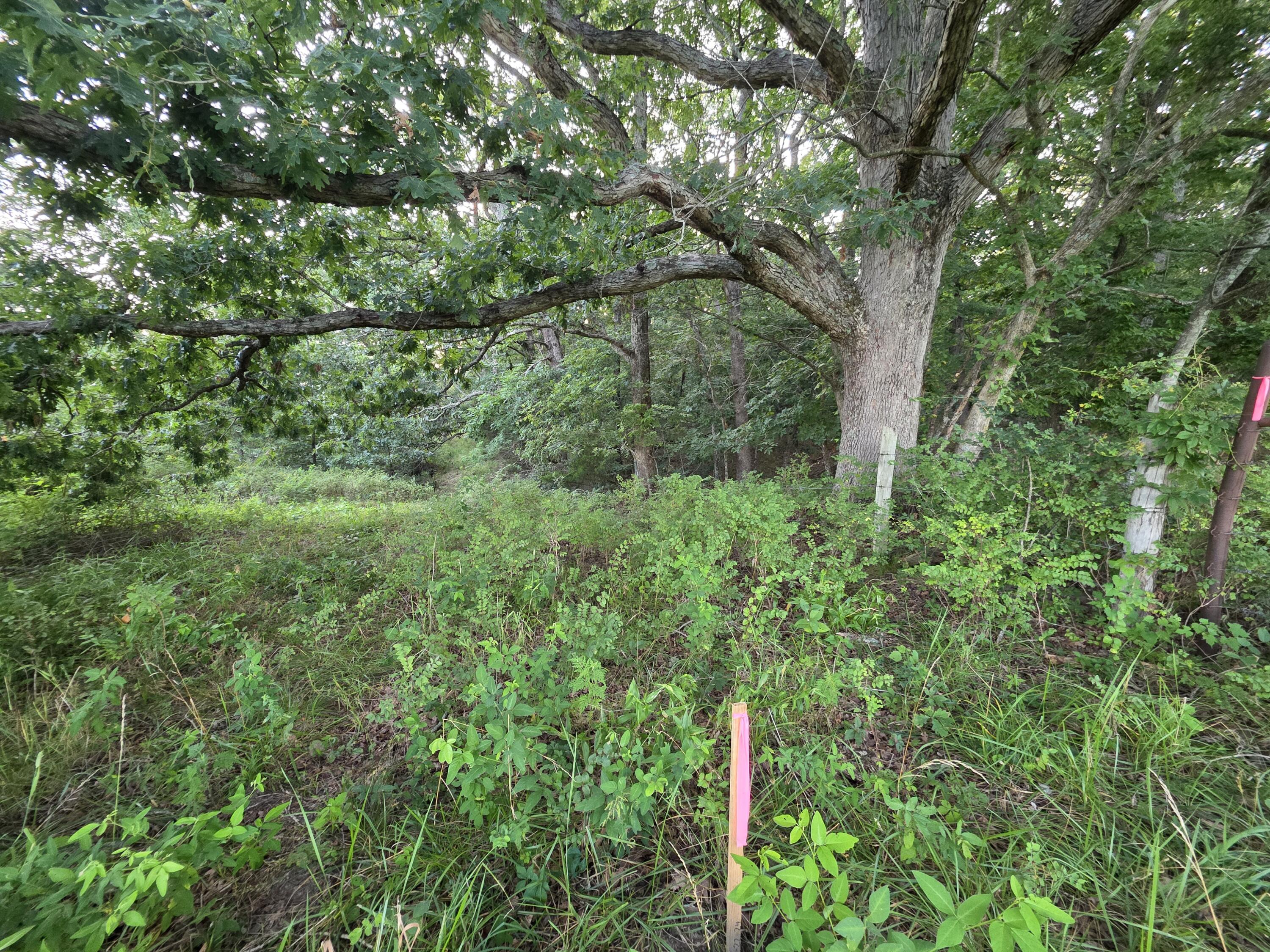 Tract B Freedom Road Property Photo 10