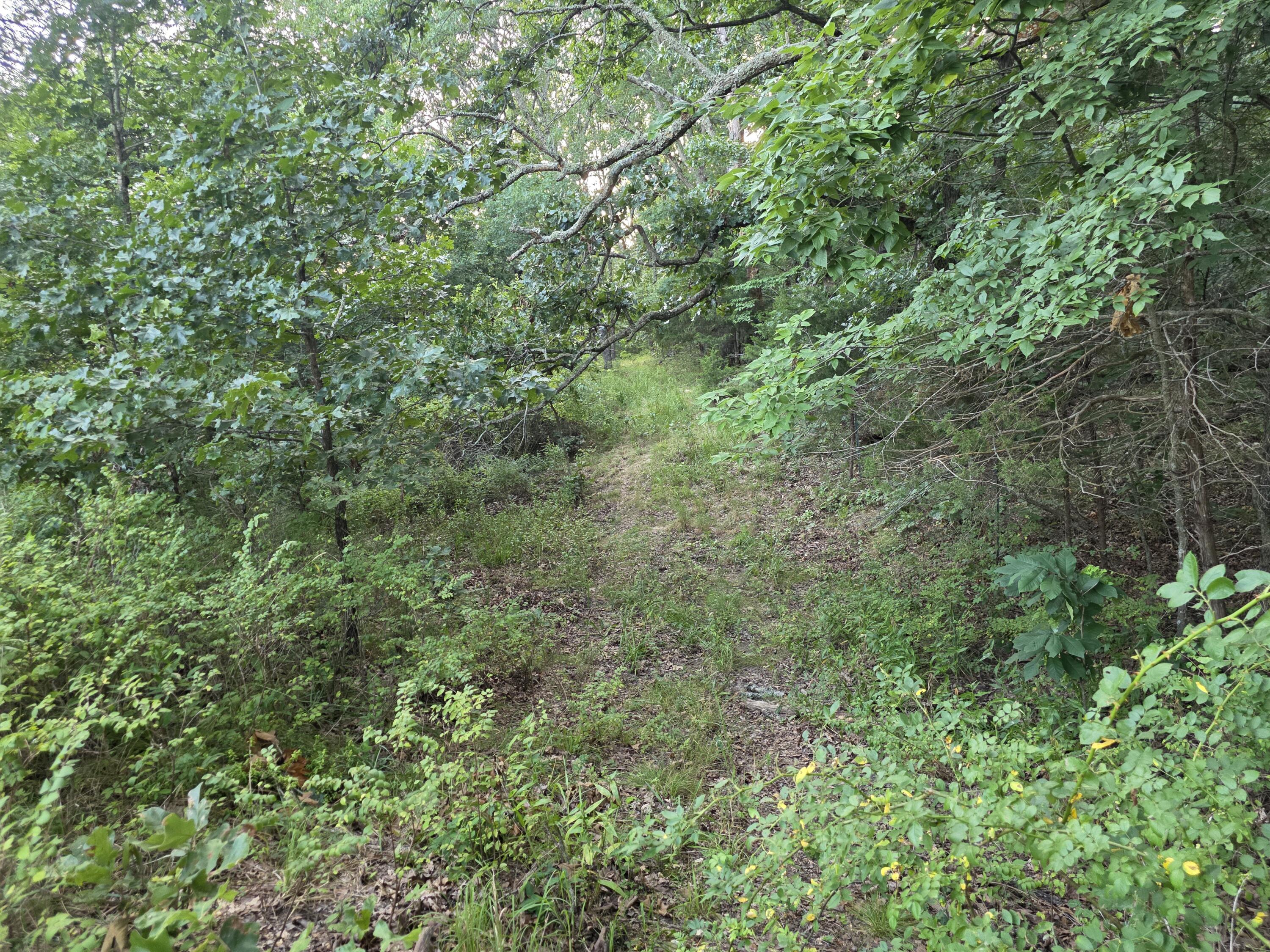 Tract B Freedom Road Property Photo 11