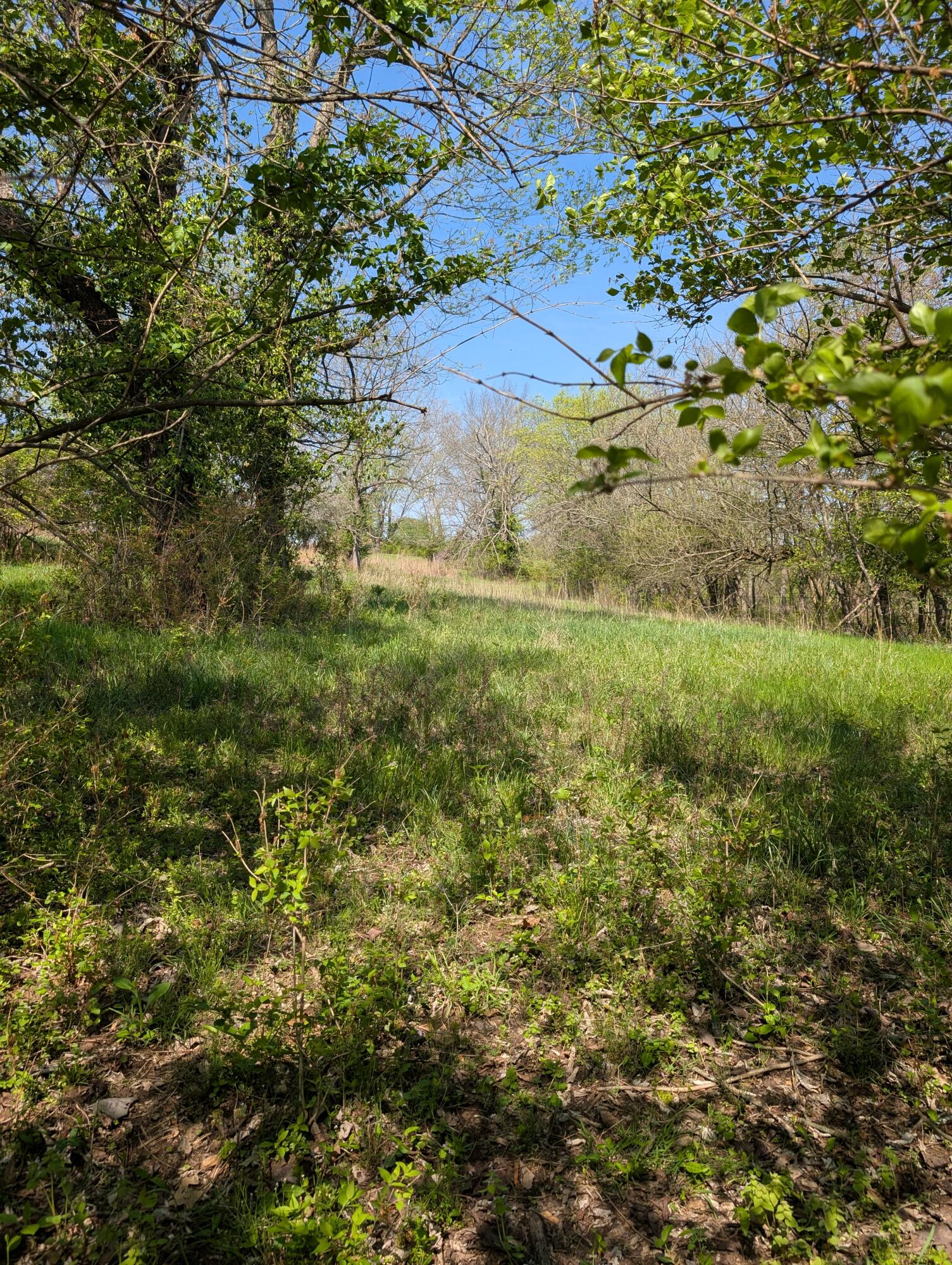 3624 North Farm Road 147 Property Photo 22