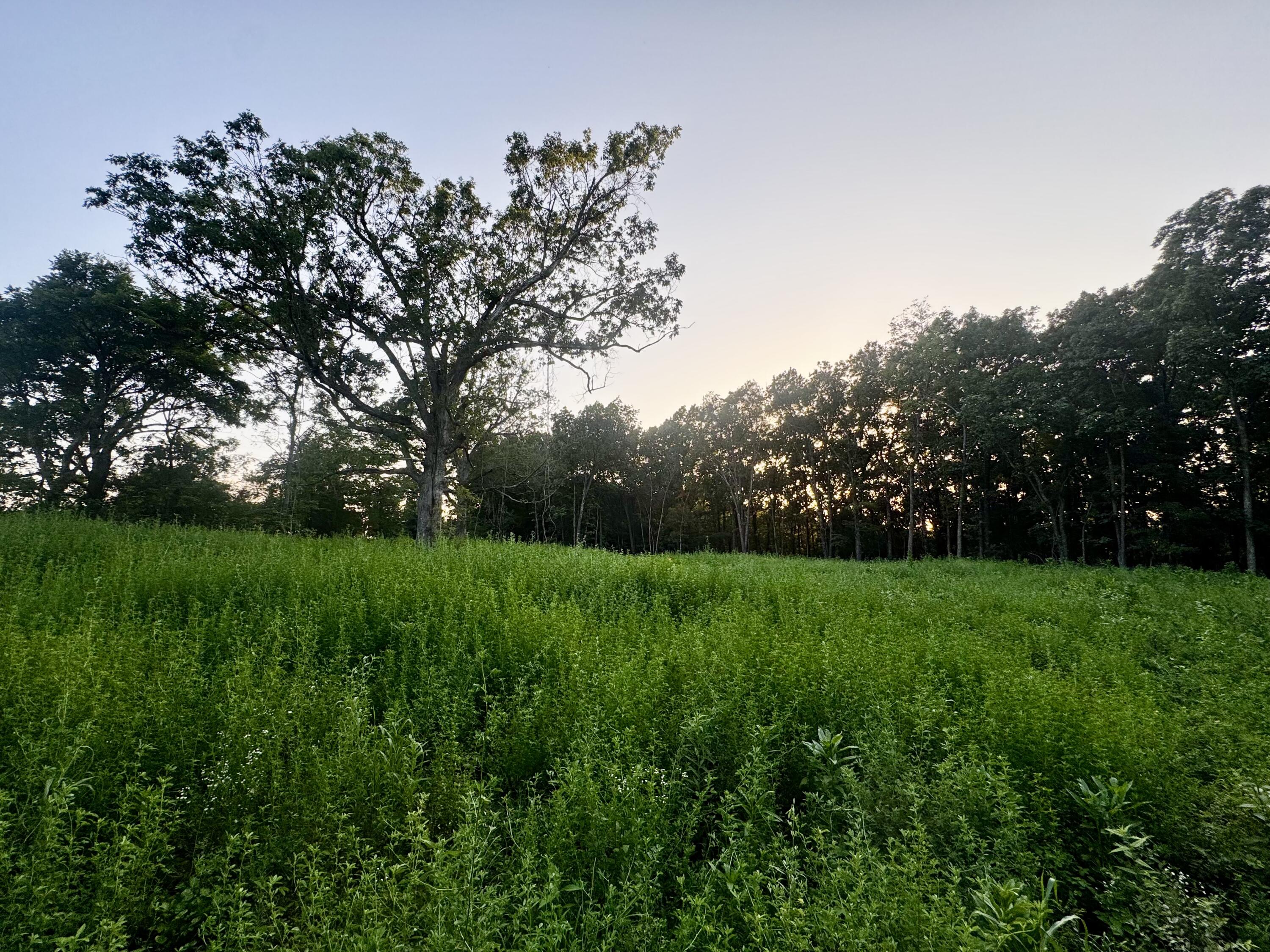 000 Lucky Road Property Photo 1