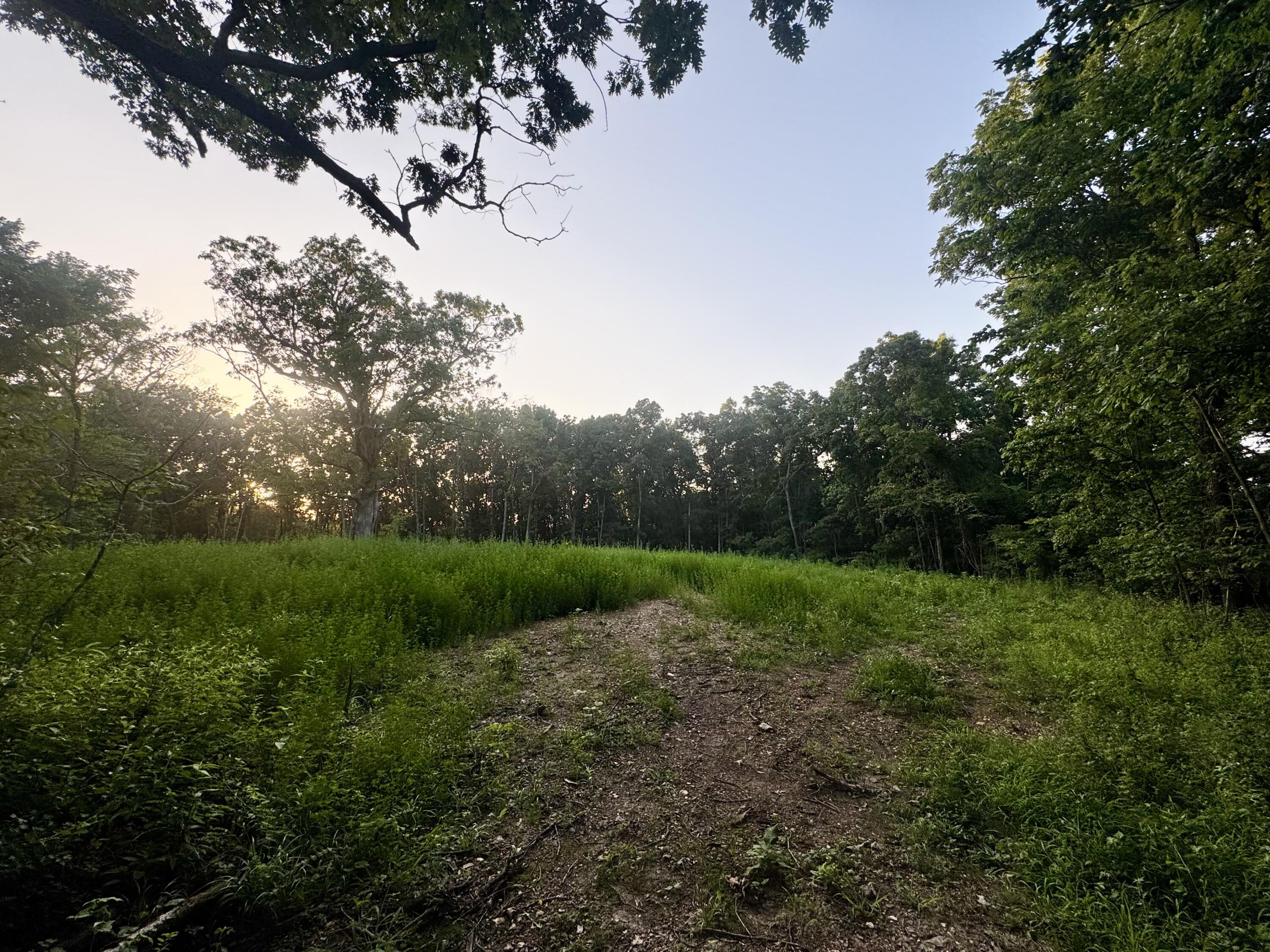 000 Lucky Road Property Photo 5