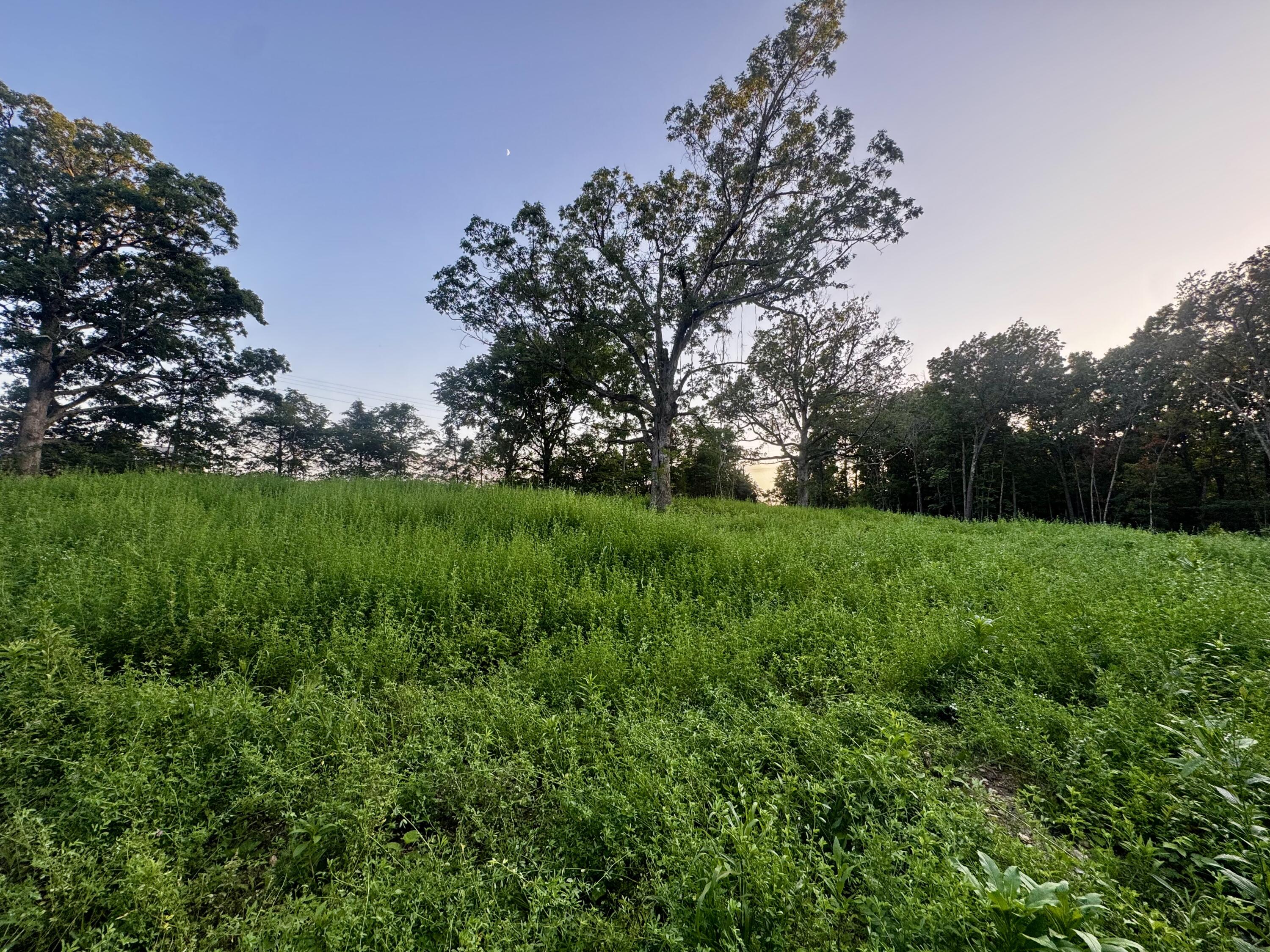 000 Lucky Road Property Photo 10