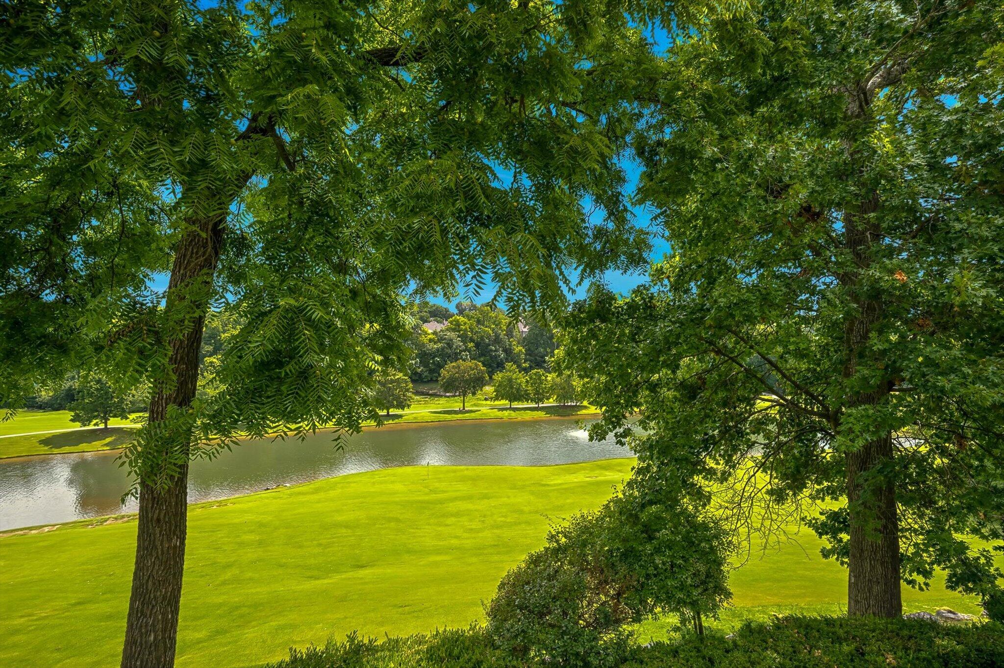 6108 South Bluff Ridge Road Property Photo 69