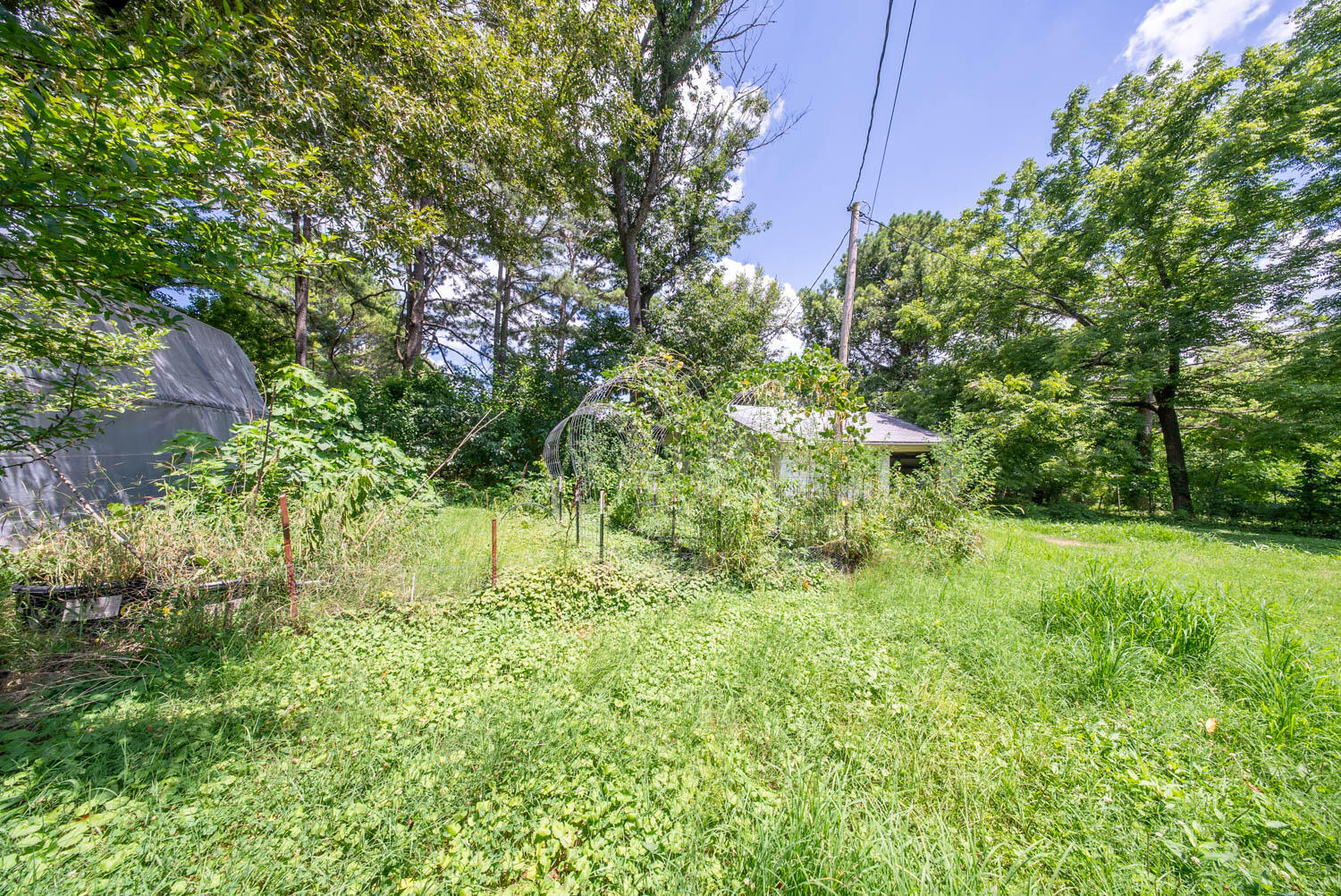 155 North 12th Street Property Photo 37