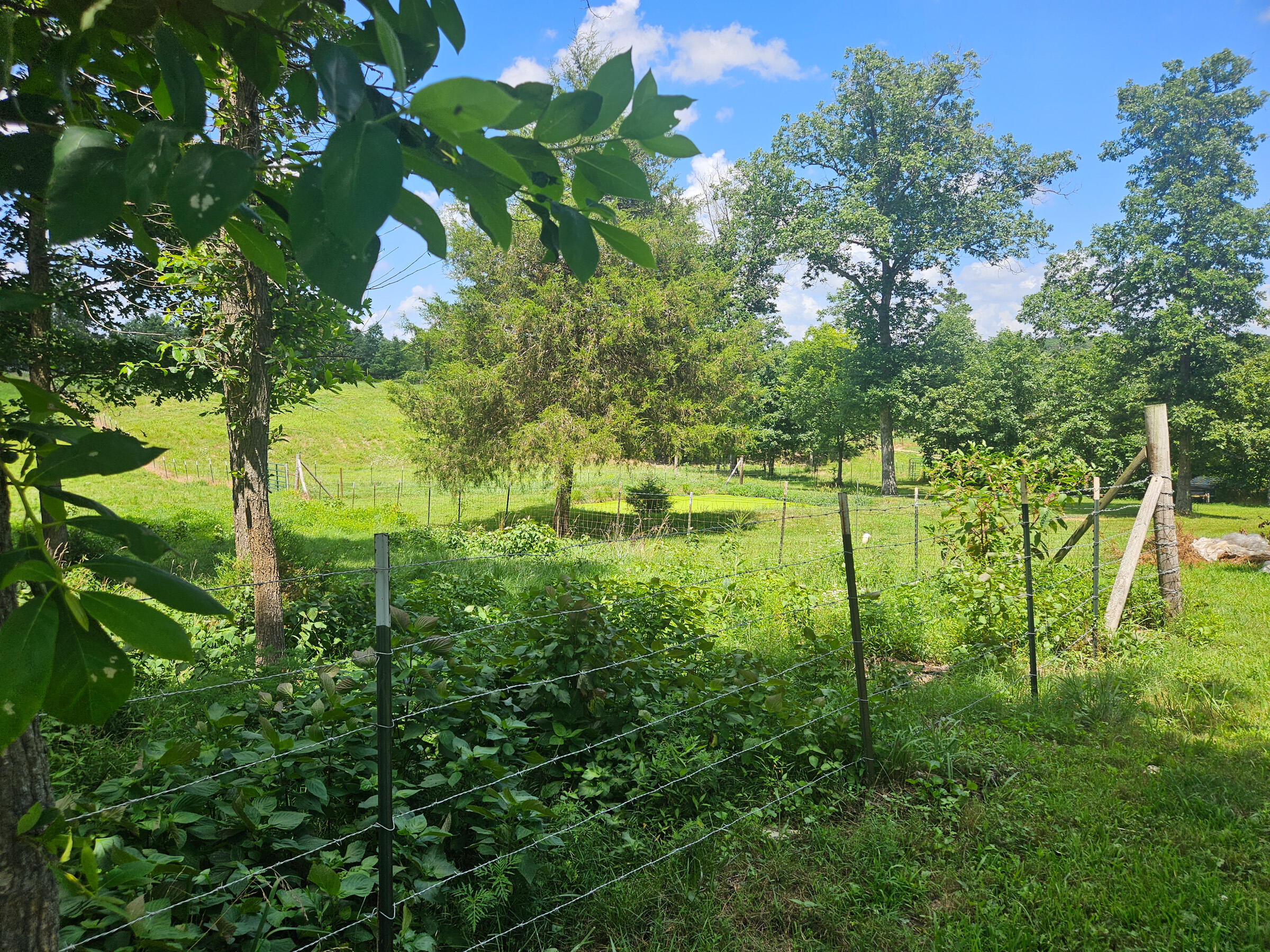 4118 County Road U-659 Property Photo 42