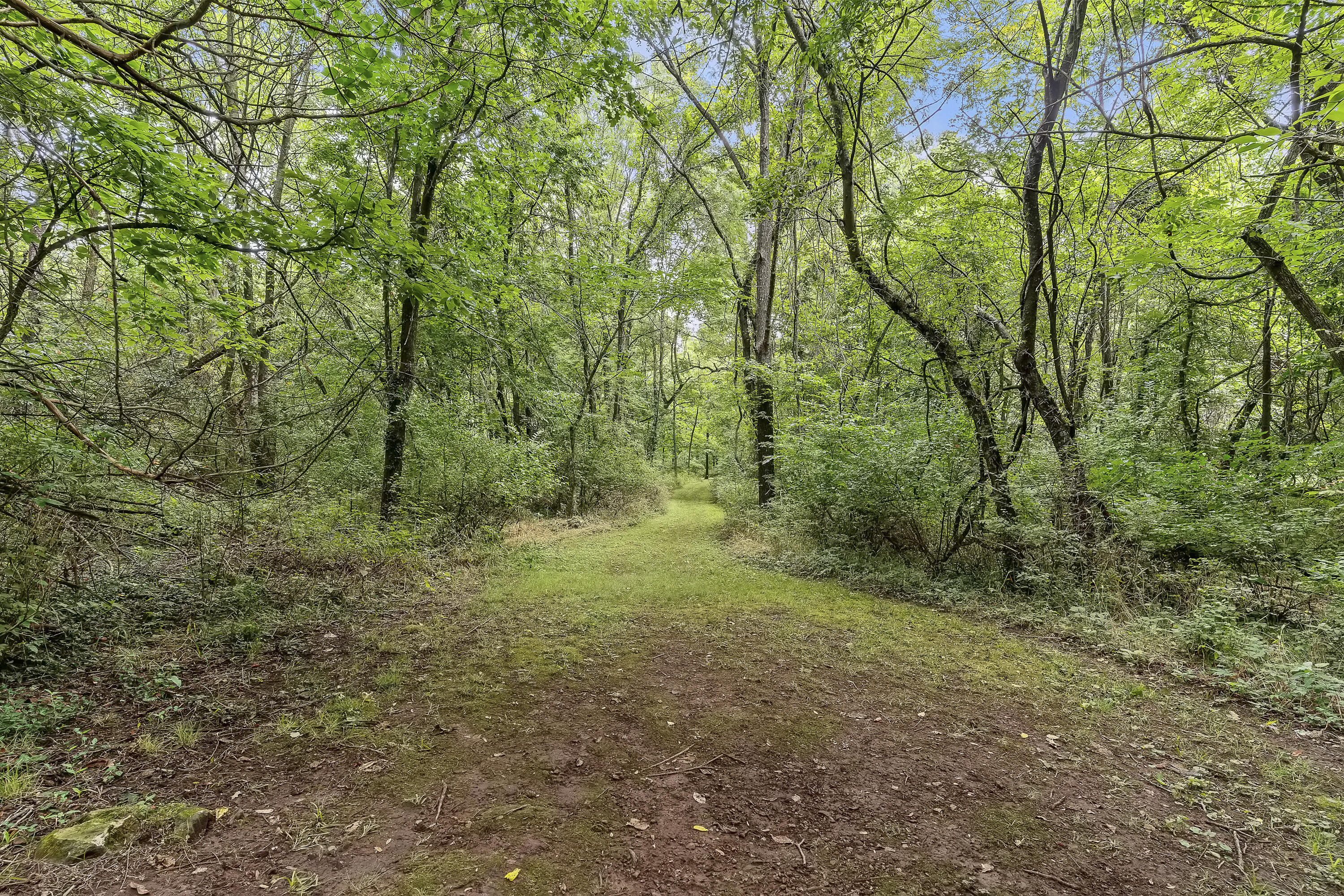 4465 North Raintree Drive Property Photo 43
