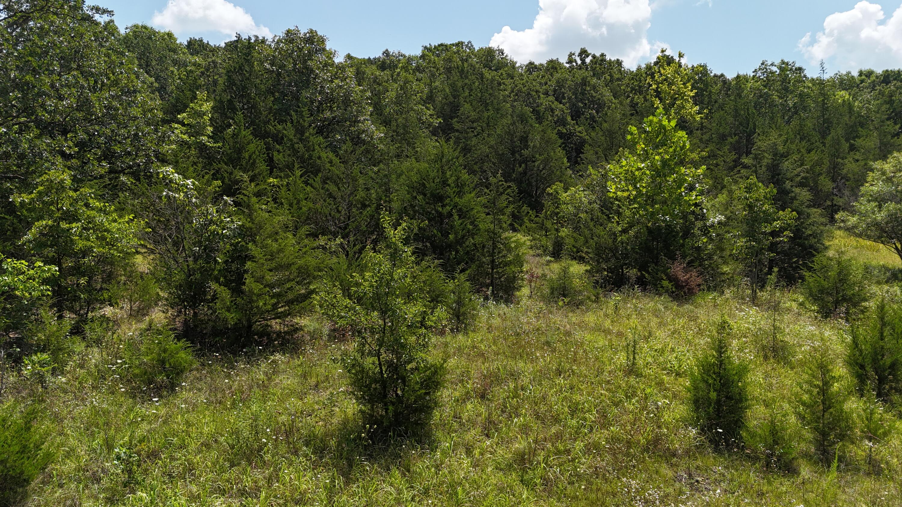 0 Mills Valley Boulevard Property Photo 1