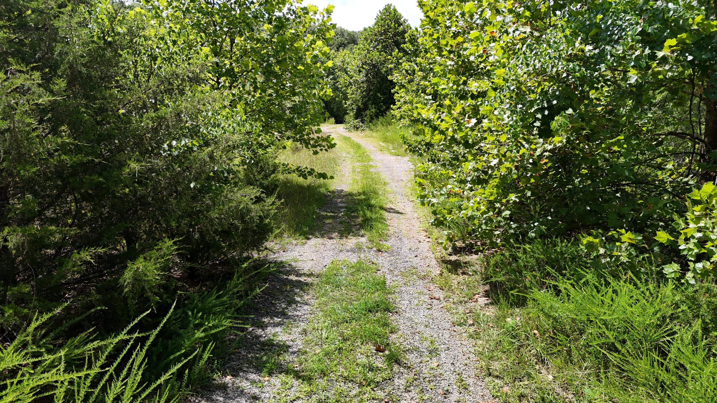 0 Mills Valley Boulevard Property Photo 12