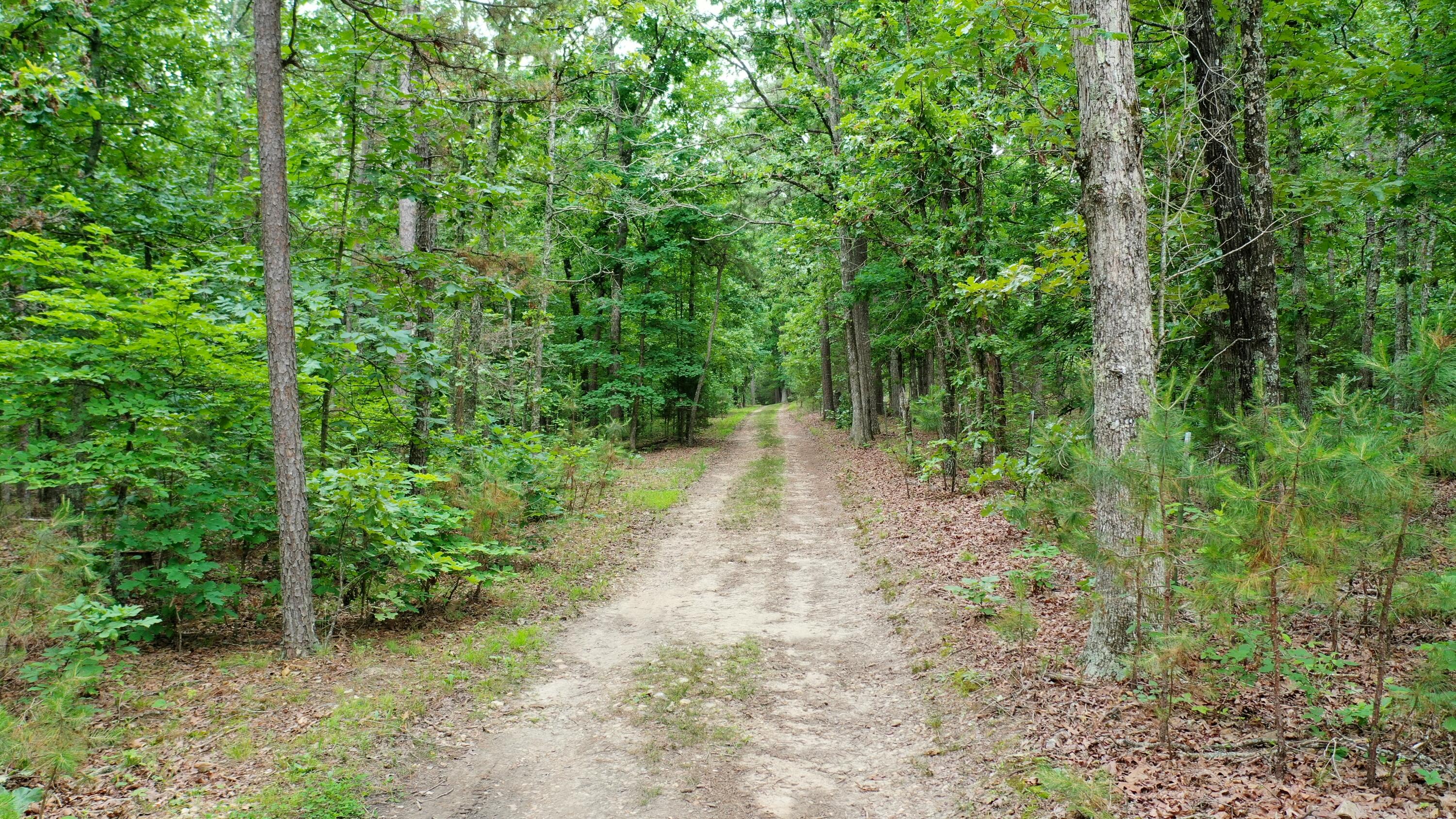 22711 Center Valley Road Property Photo 60